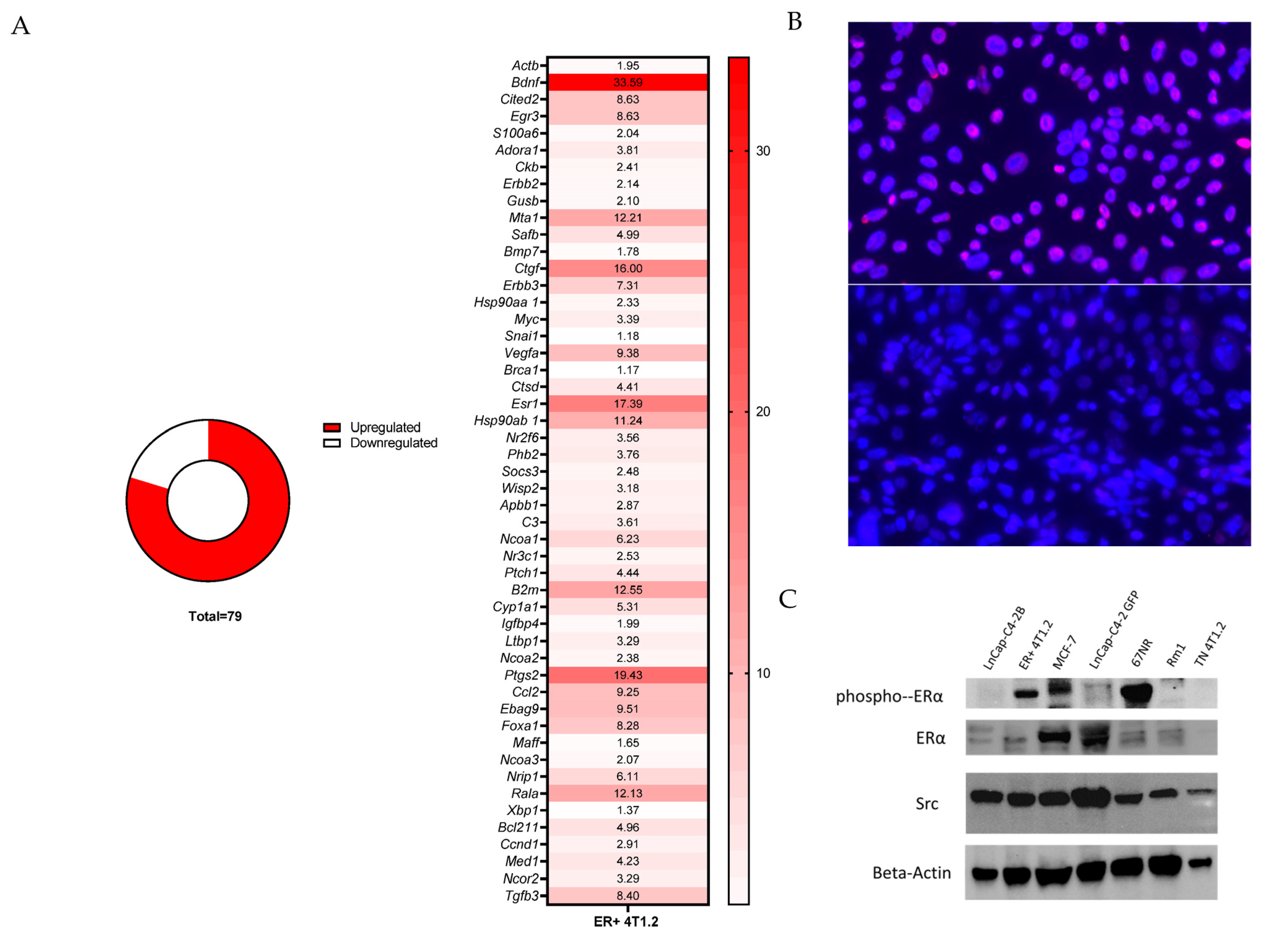 Cancers 15 05773 g001