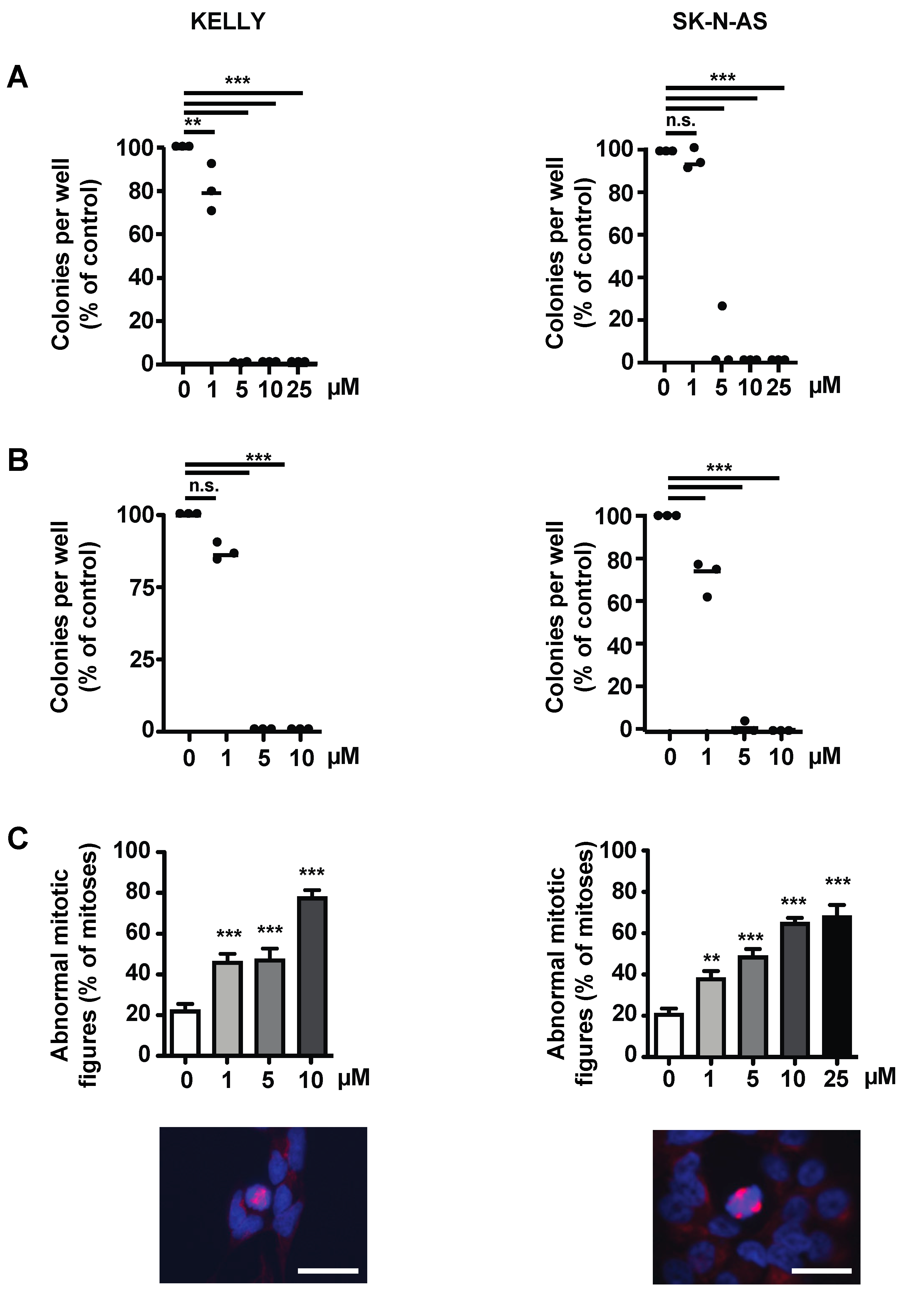 Cancers 15 05775 g006