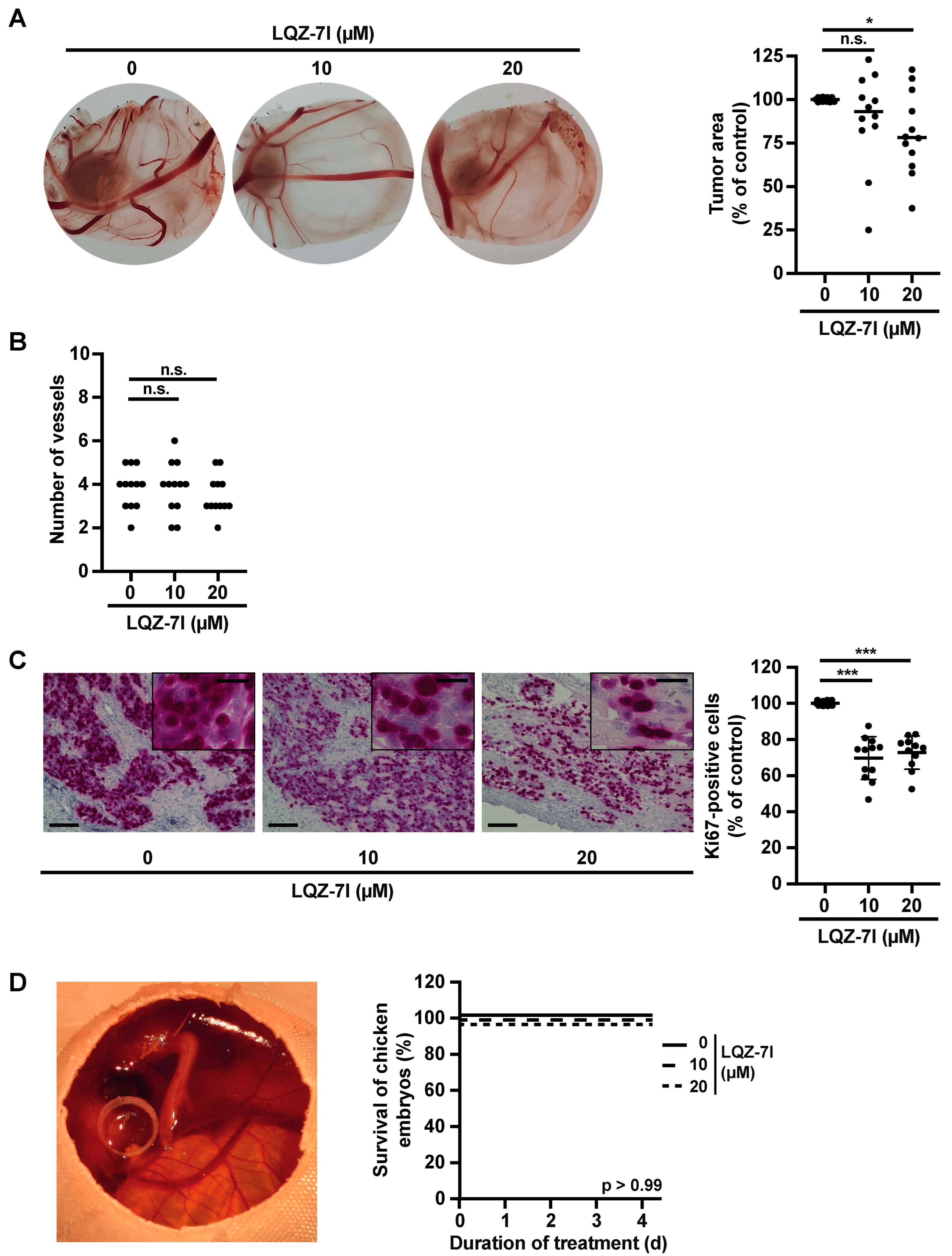 Cancers 15 05775 g007