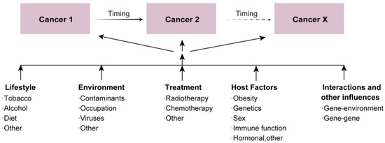Susceptibility Genes Associated with Multiple Primary Cancers