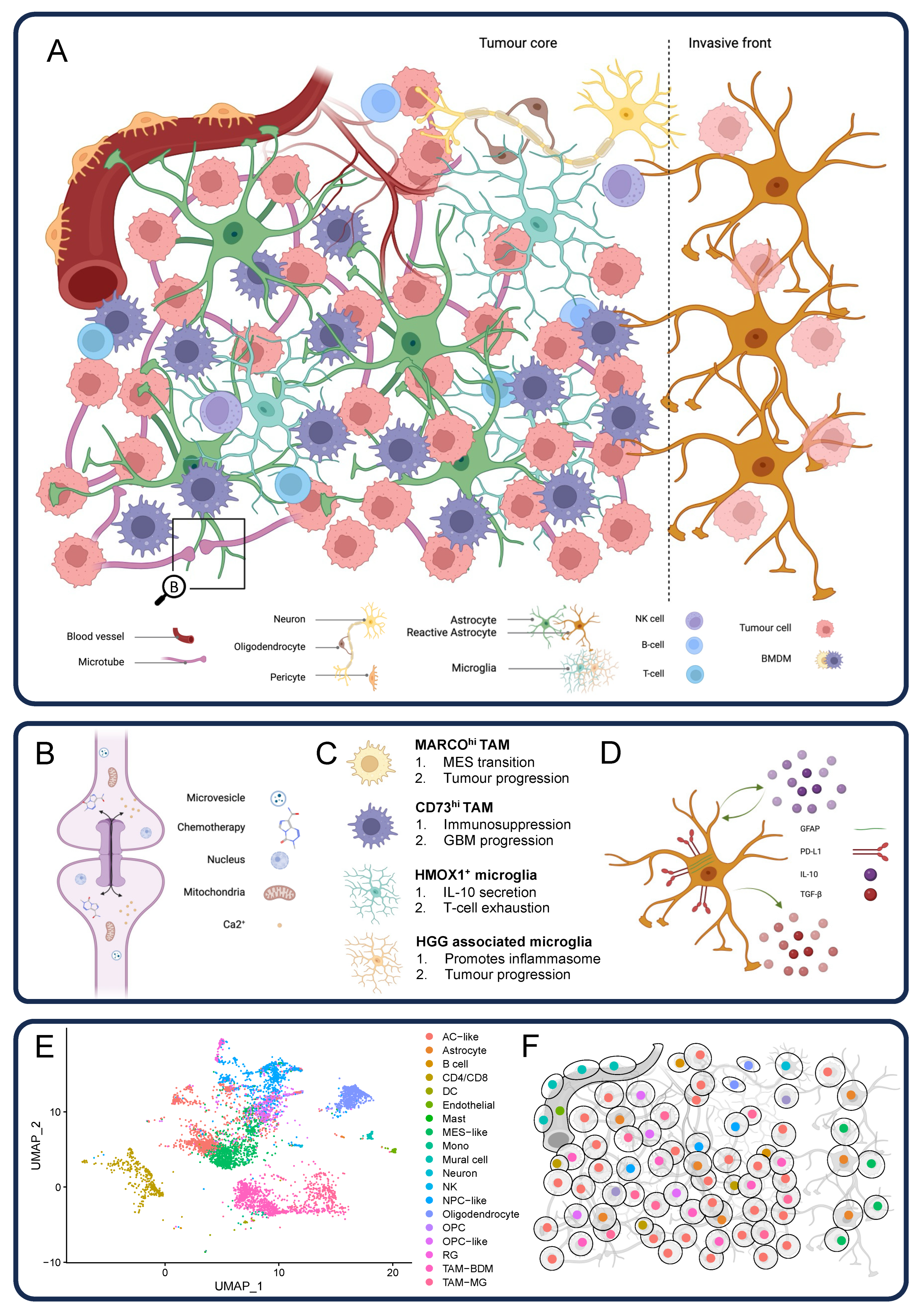 Cancers 15 05790 g001