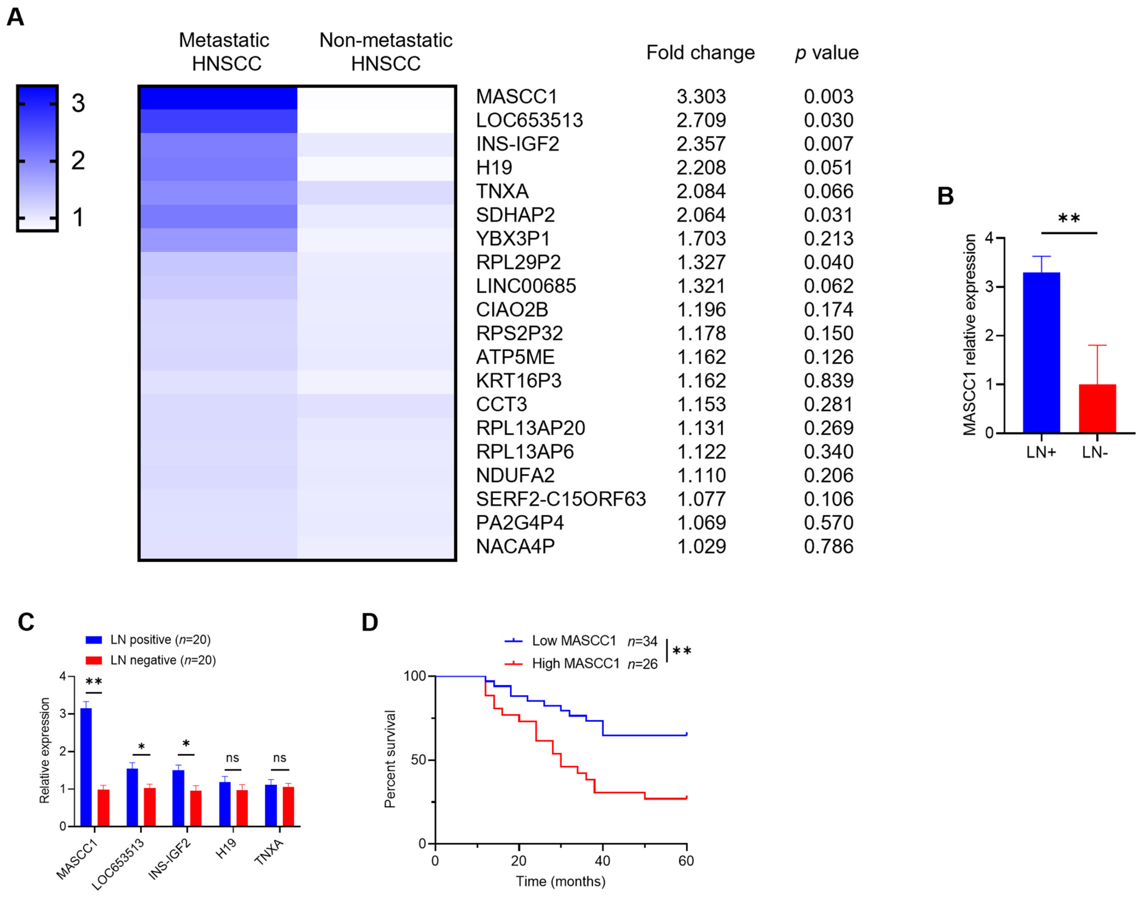 Cancers 15 05792 g001