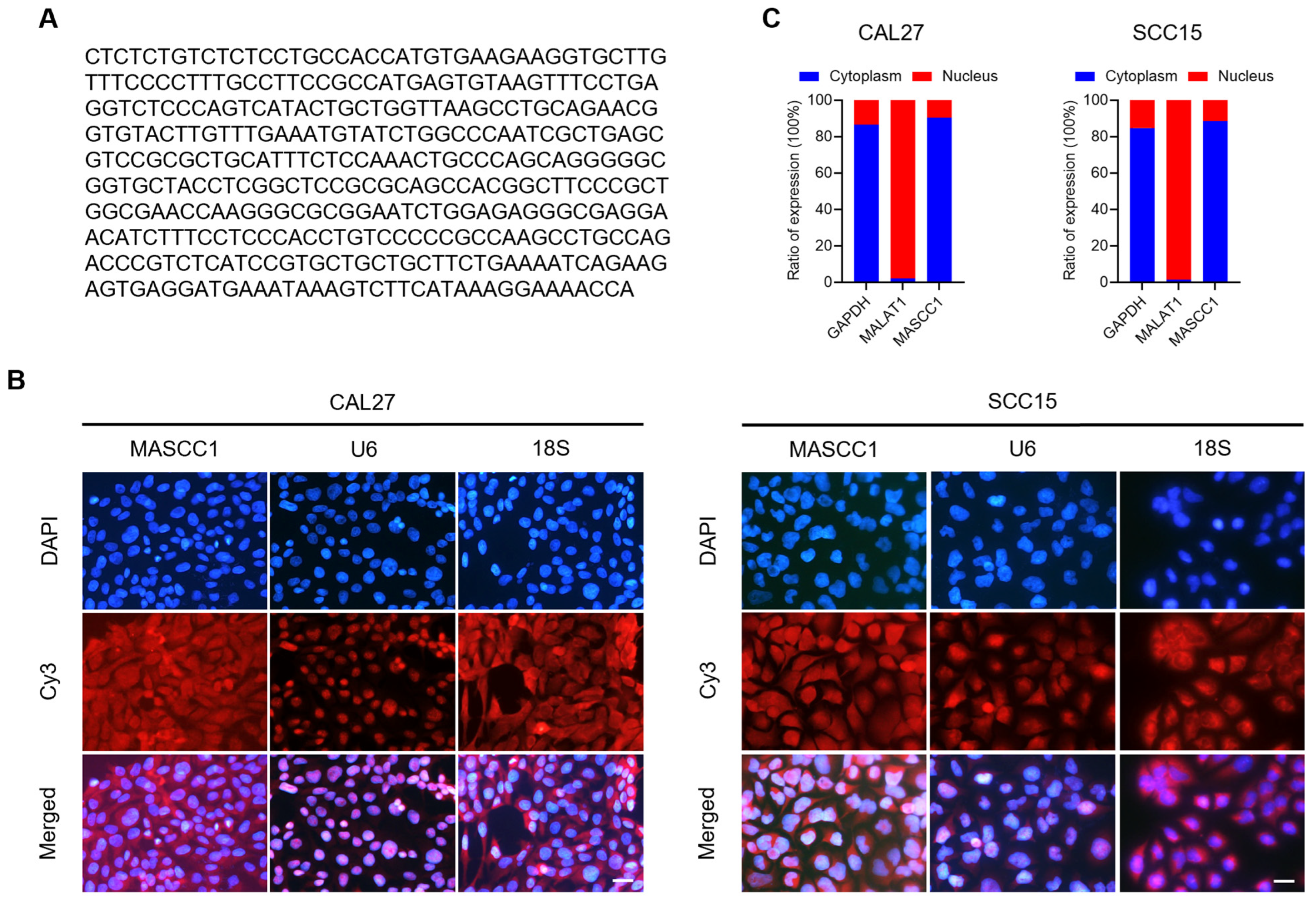 Cancers 15 05792 g002