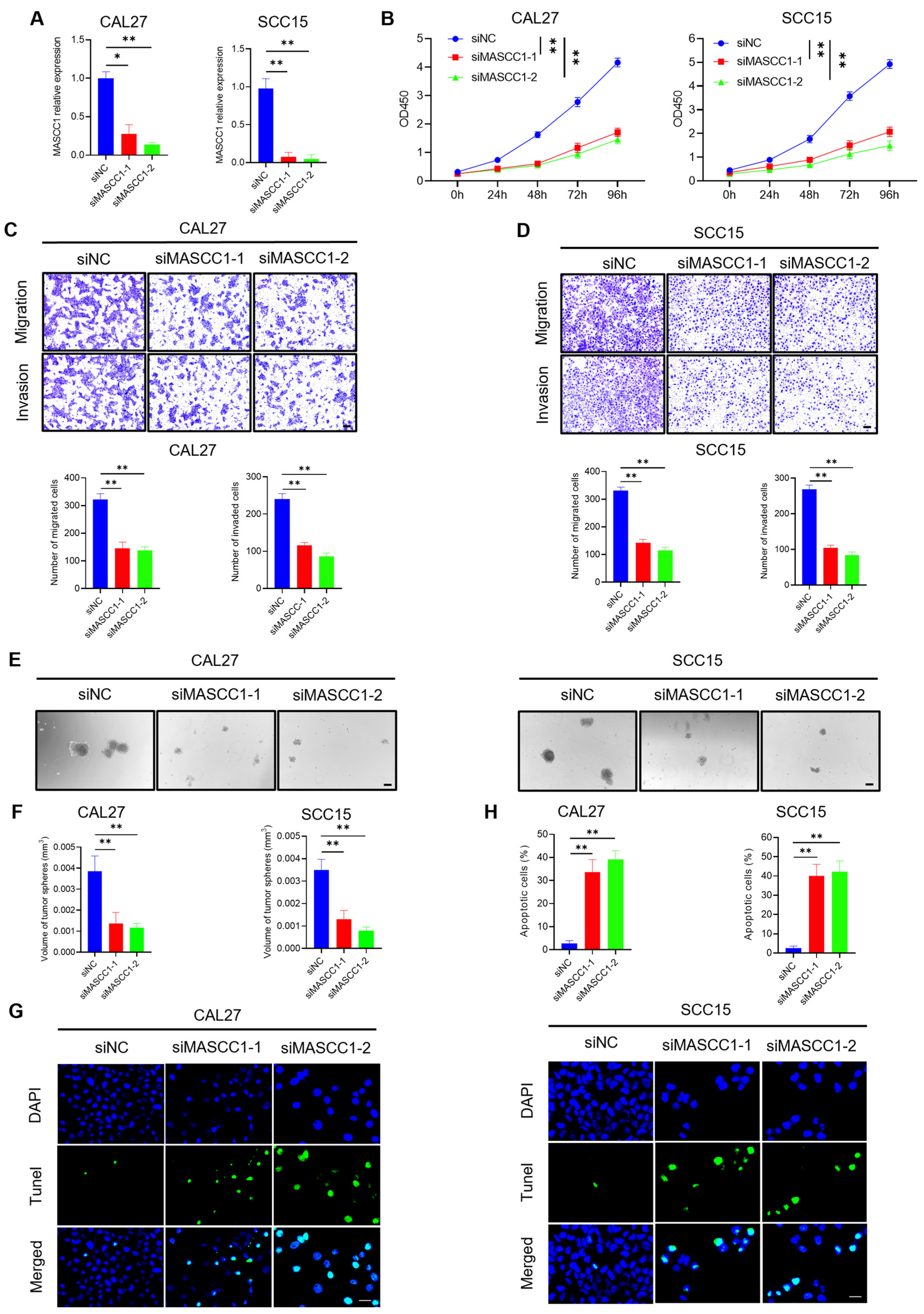 Cancers 15 05792 g003