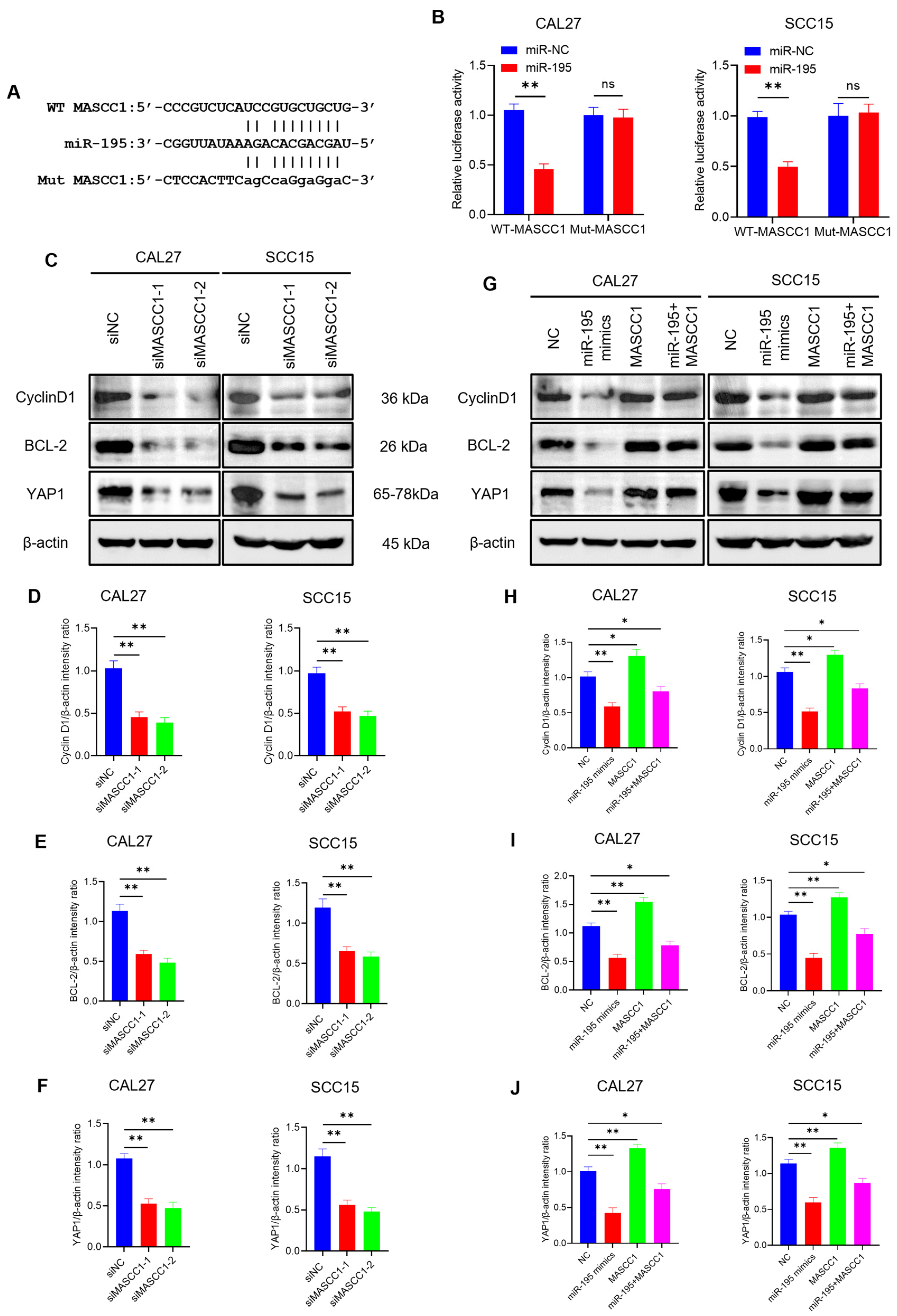 Cancers 15 05792 g005