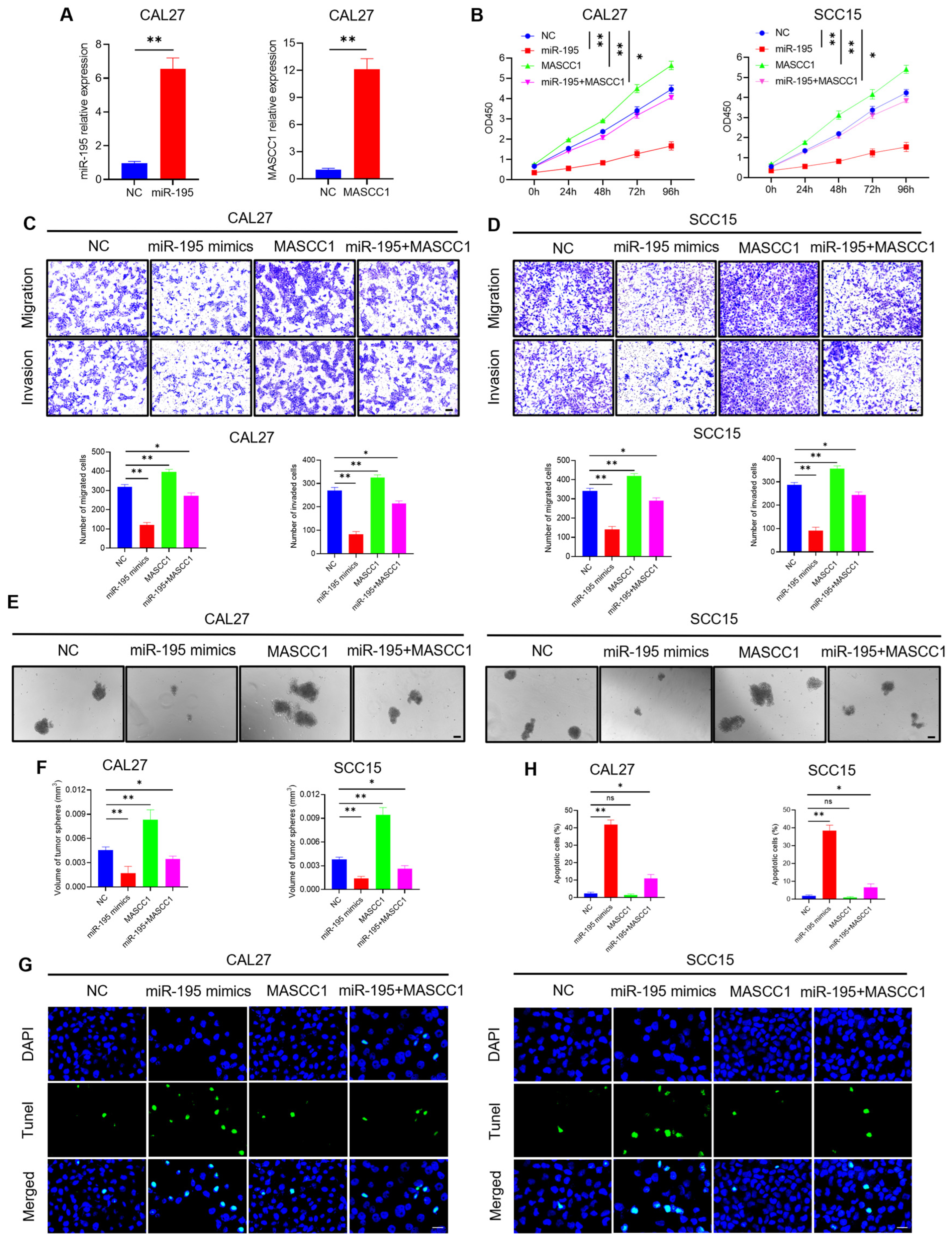 Cancers 15 05792 g006