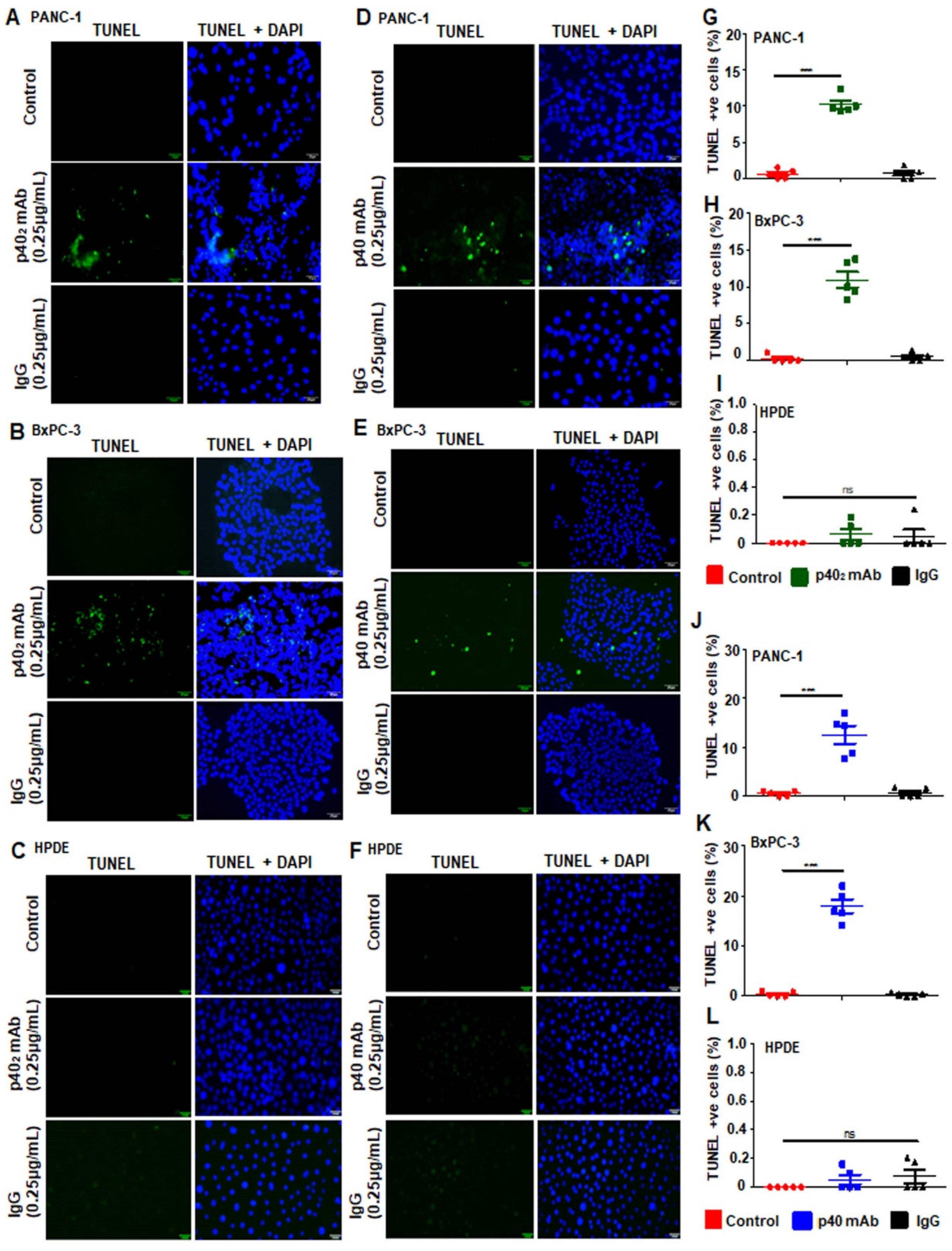Cancers 15 05796 g004