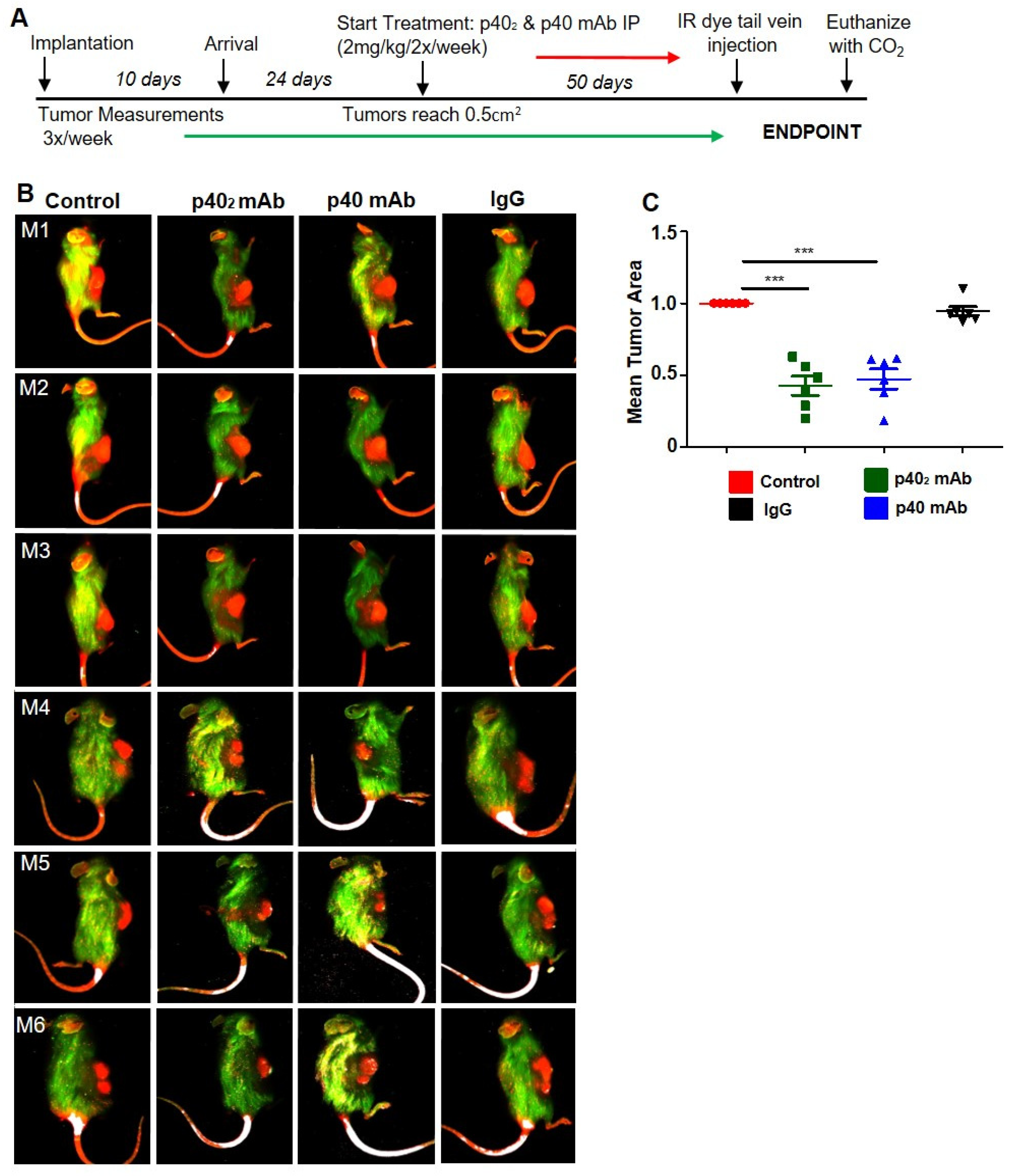 Cancers 15 05796 g006