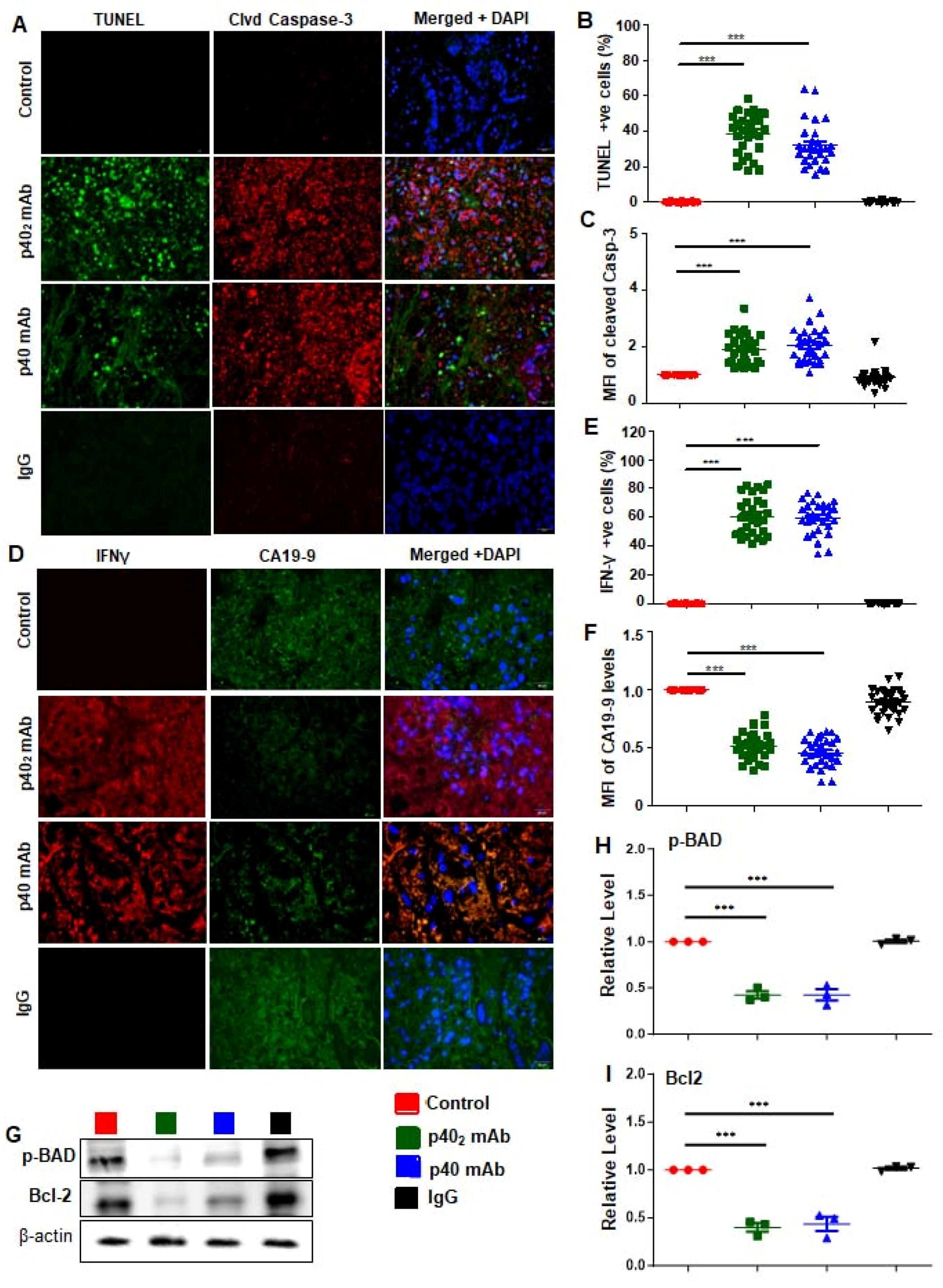 Cancers 15 05796 g008