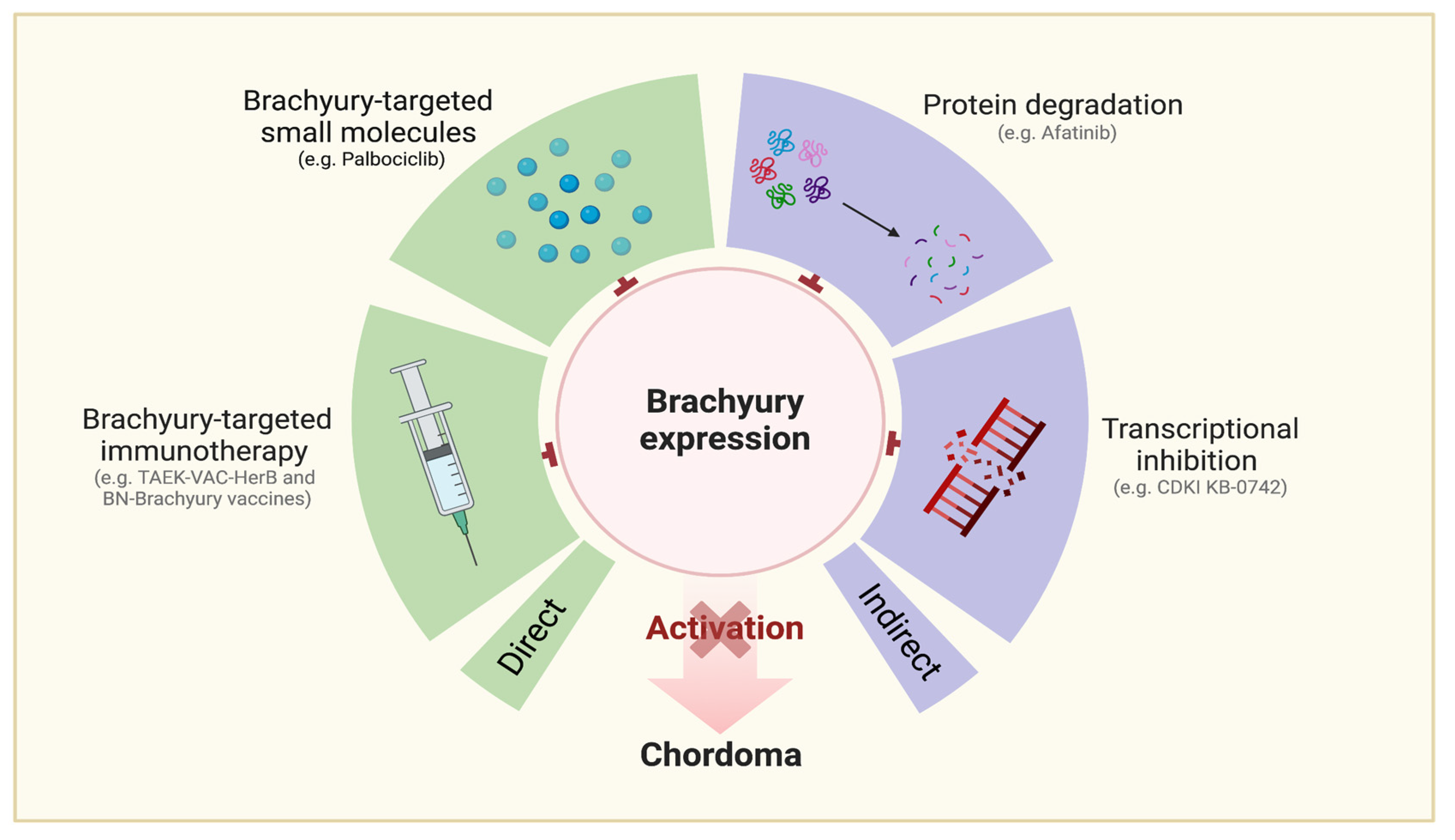 Cancers 15 05800 g005
