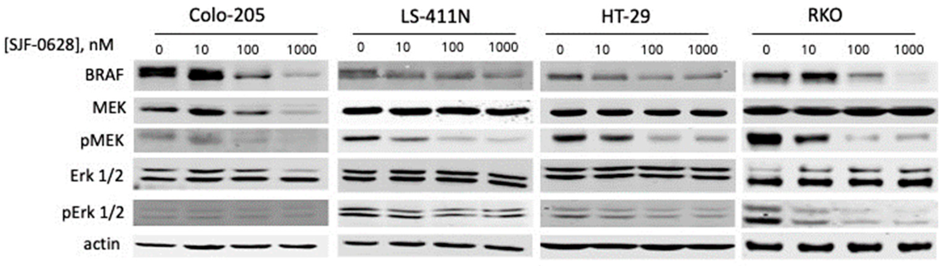Cancers 15 05805 g002