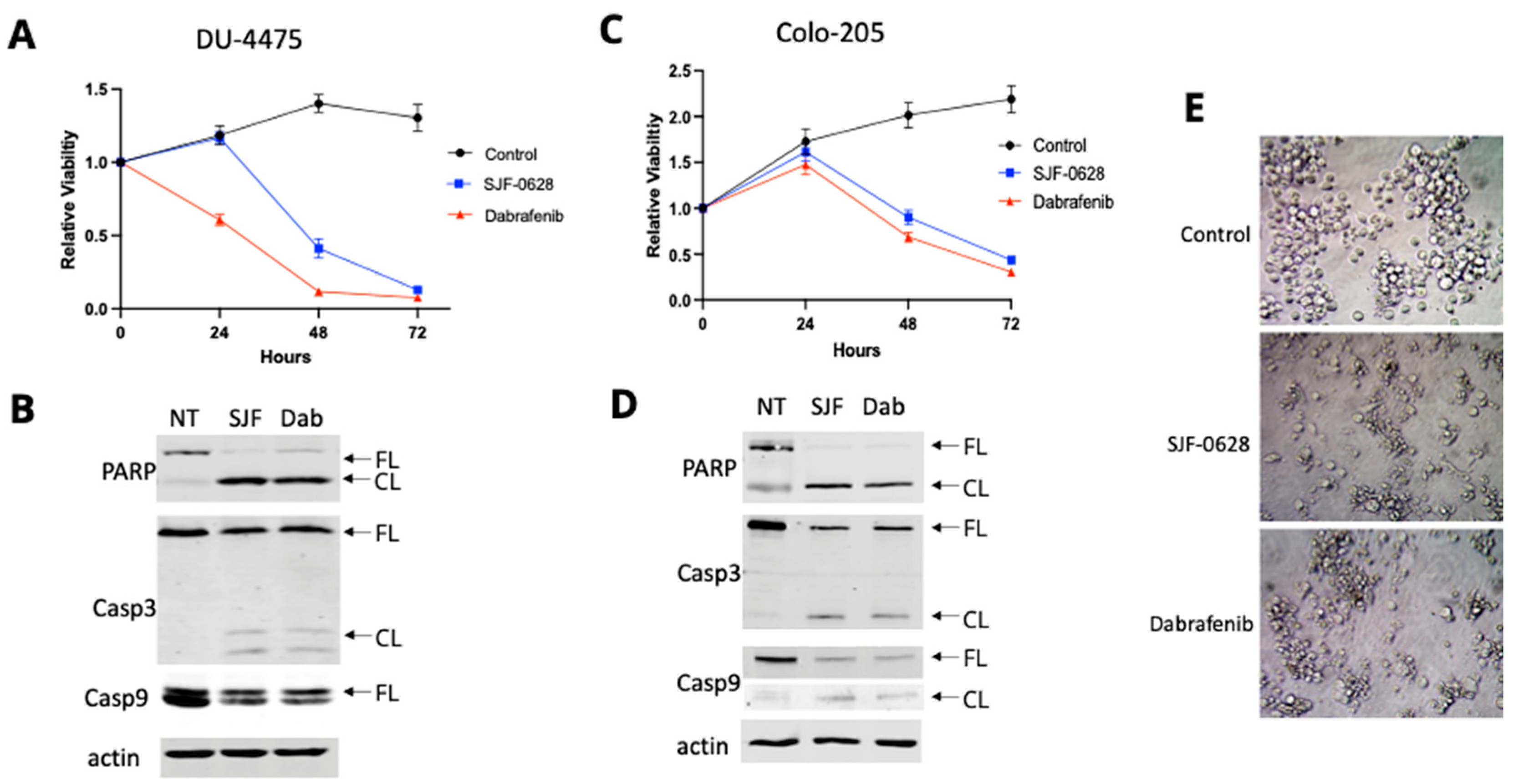 Cancers 15 05805 g004