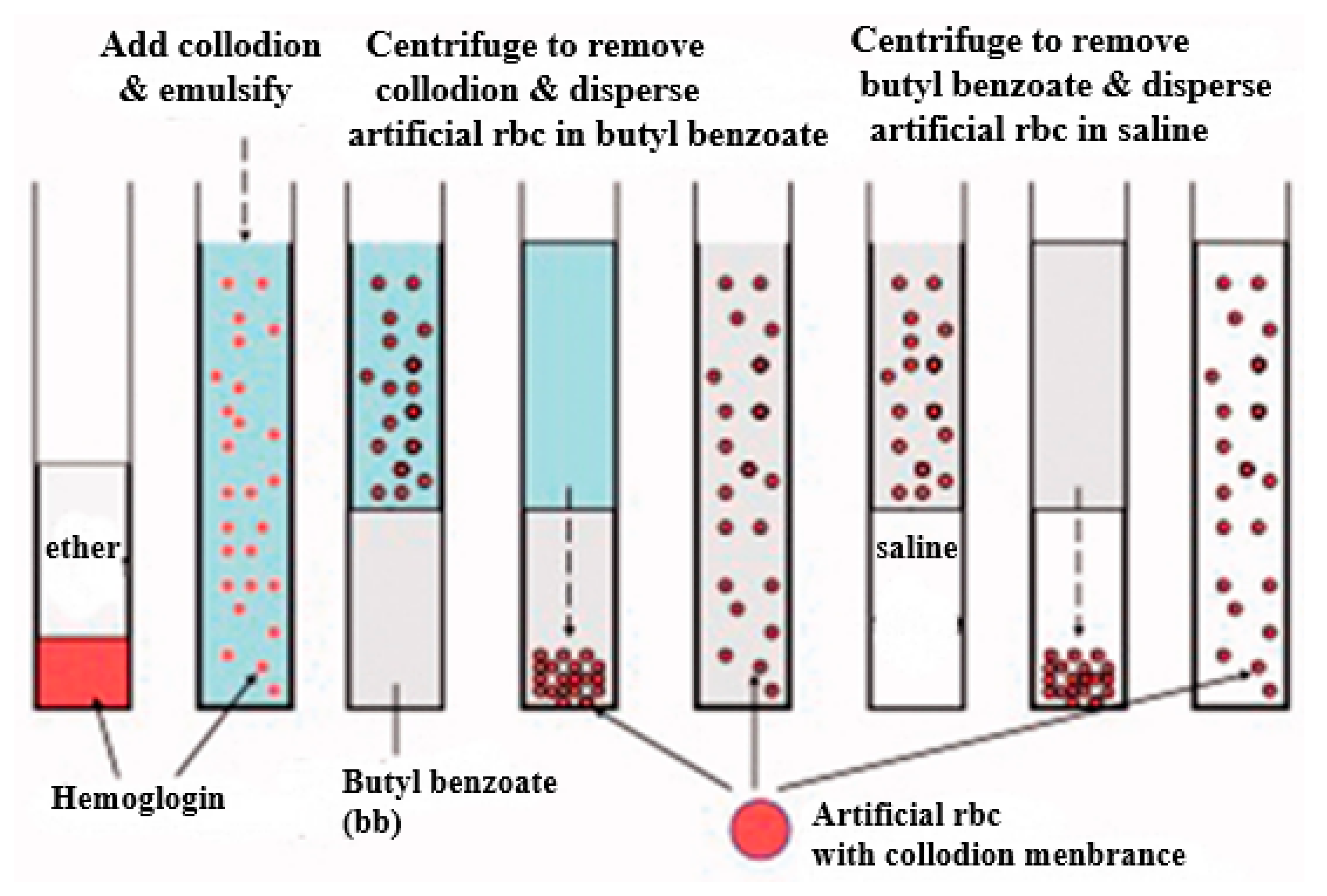 Cancers 15 05807 g001