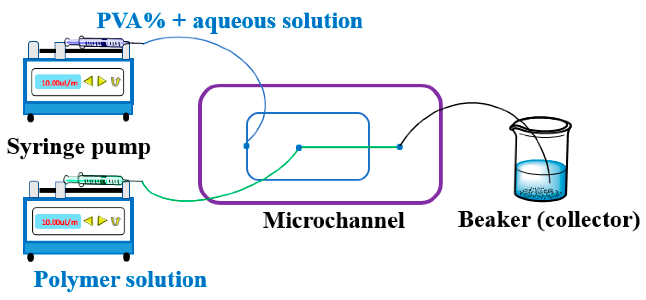 Cancers 15 05807 g002