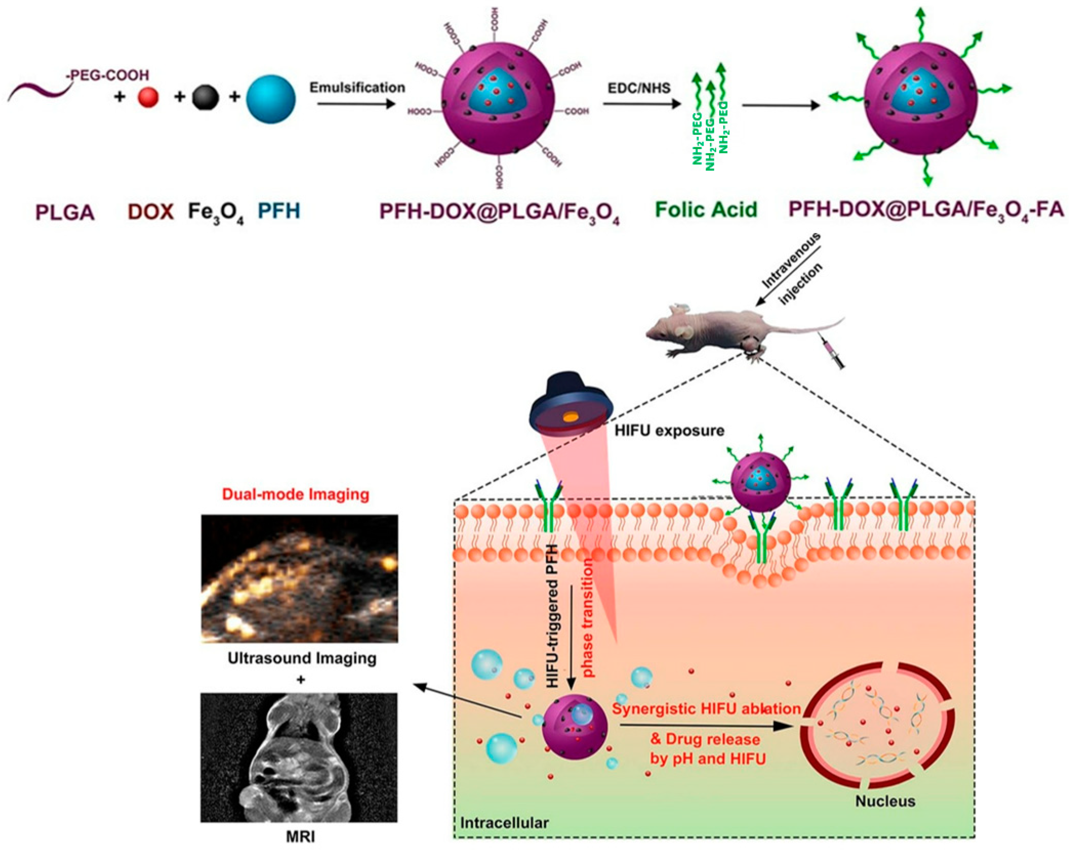 Cancers 15 05807 g003