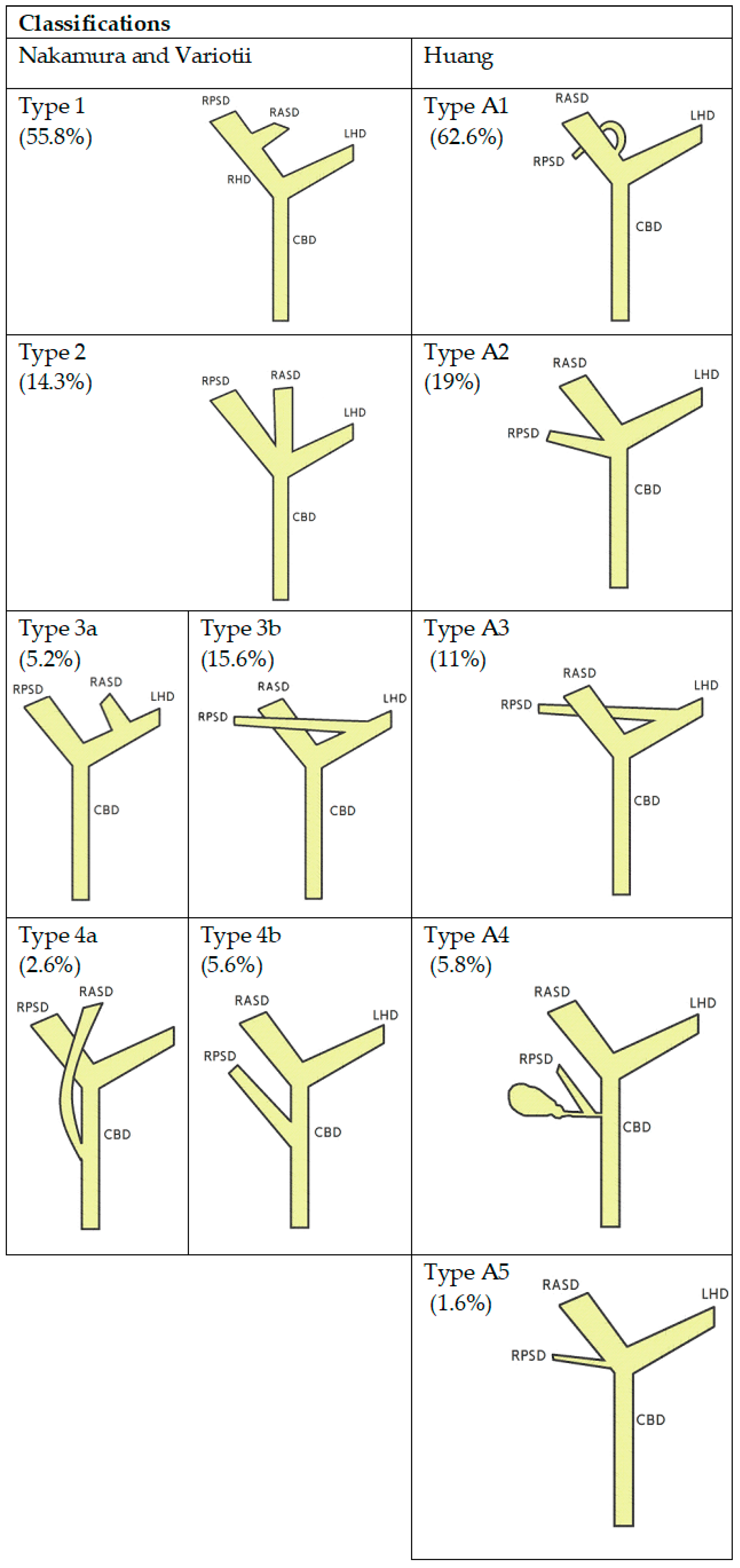 Cancers 15 05819 g001