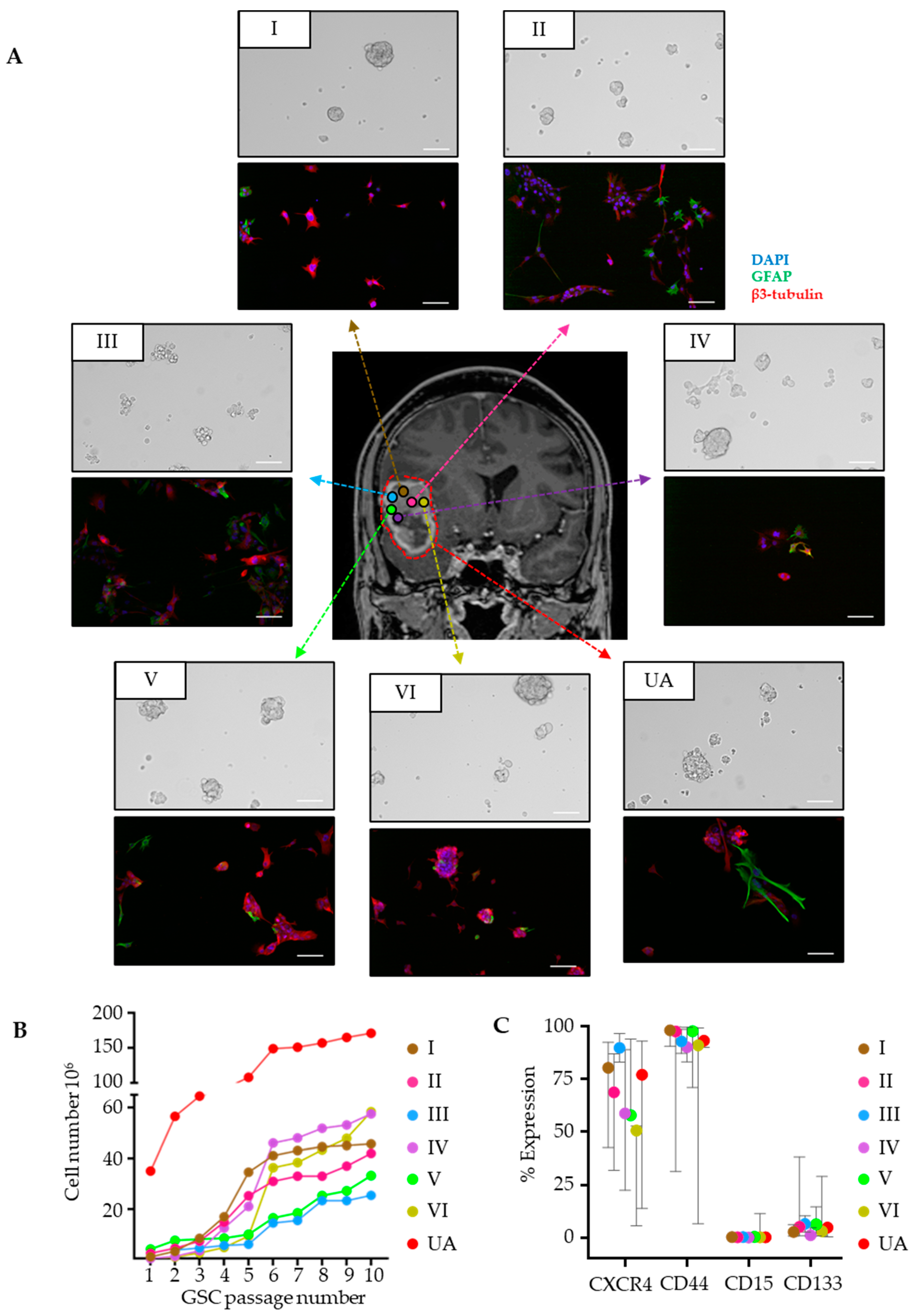 Cancers 15 05826 g001