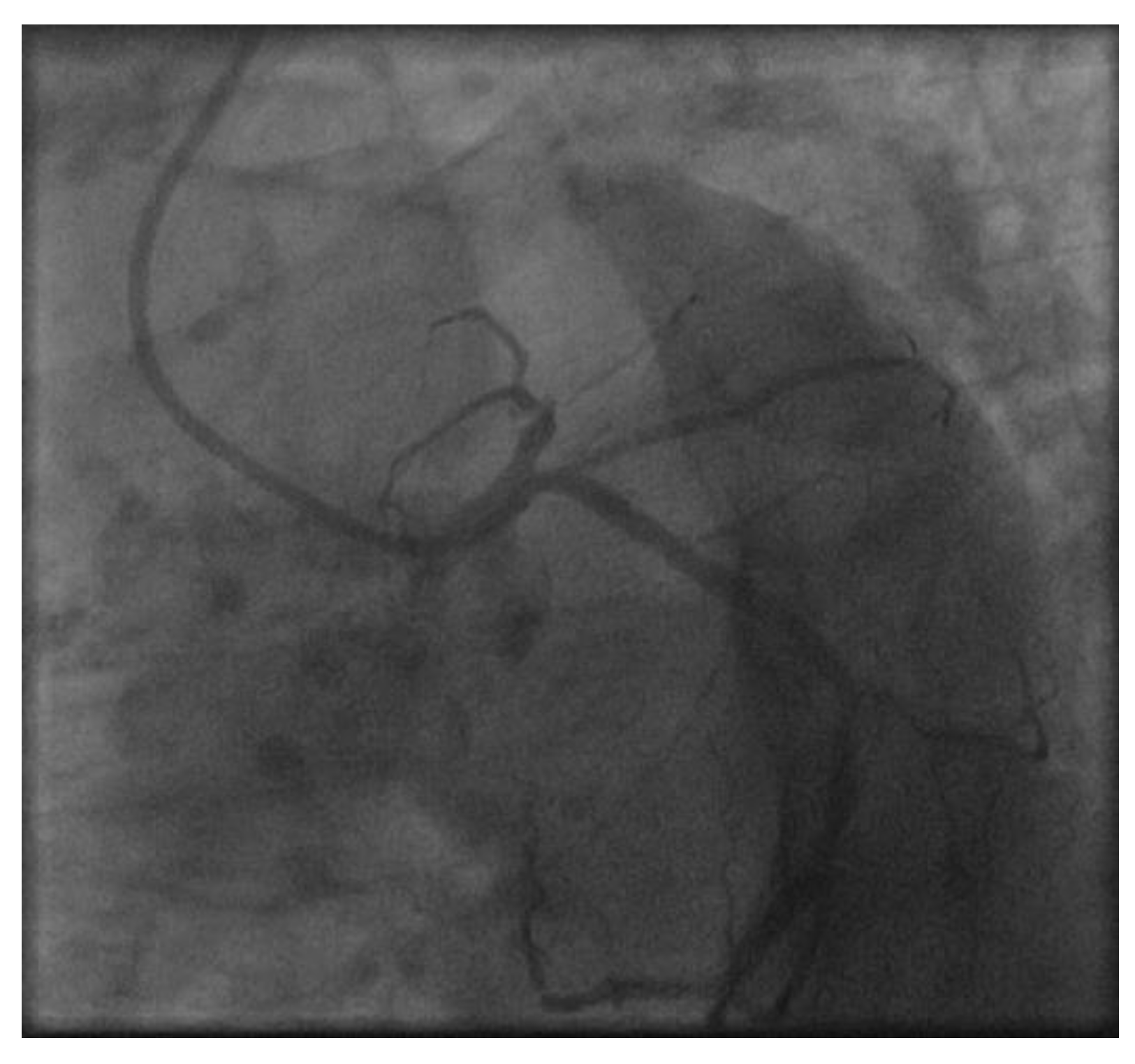 Cancers 15 05831 g0a2 Cancers 15 05831 g0a2