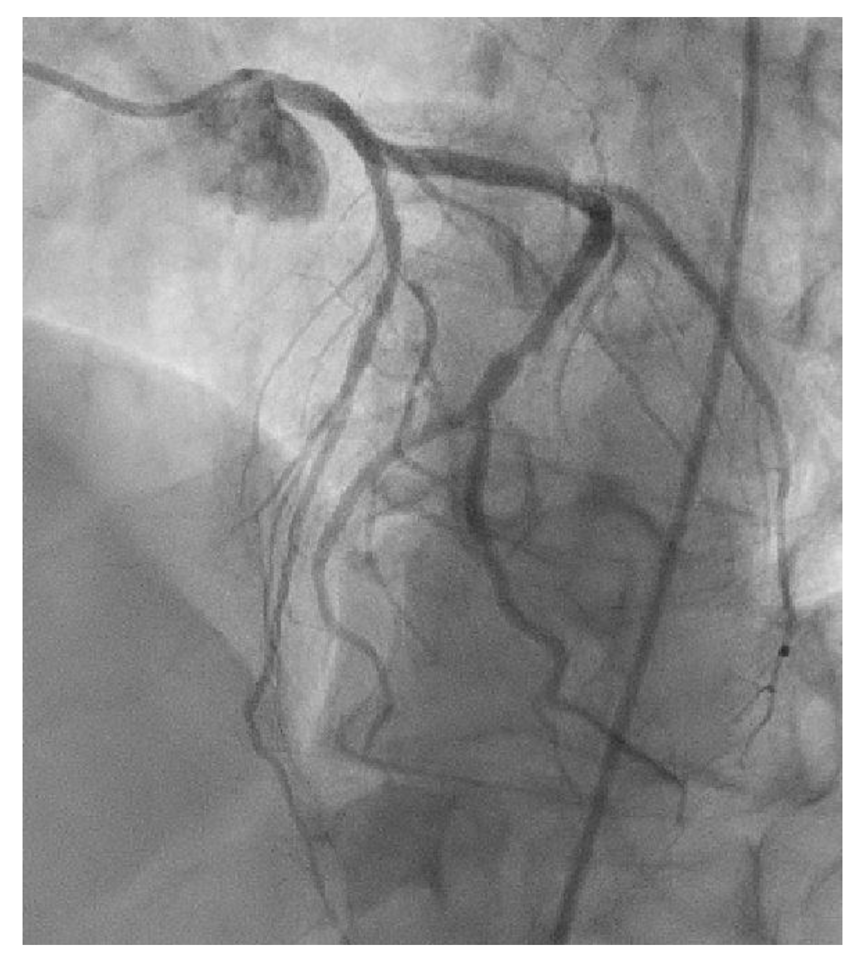 Cancers 15 05831 g0a4 Cancers 15 05831 g0a4