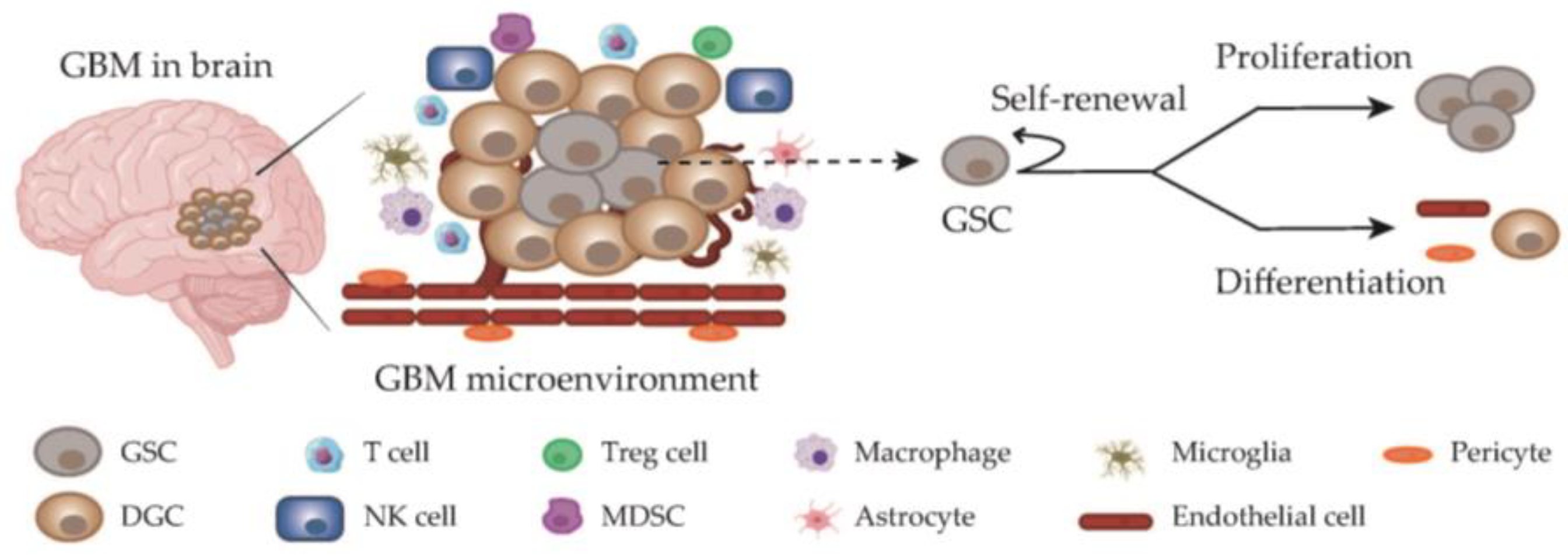 Cancers 15 05836 g001