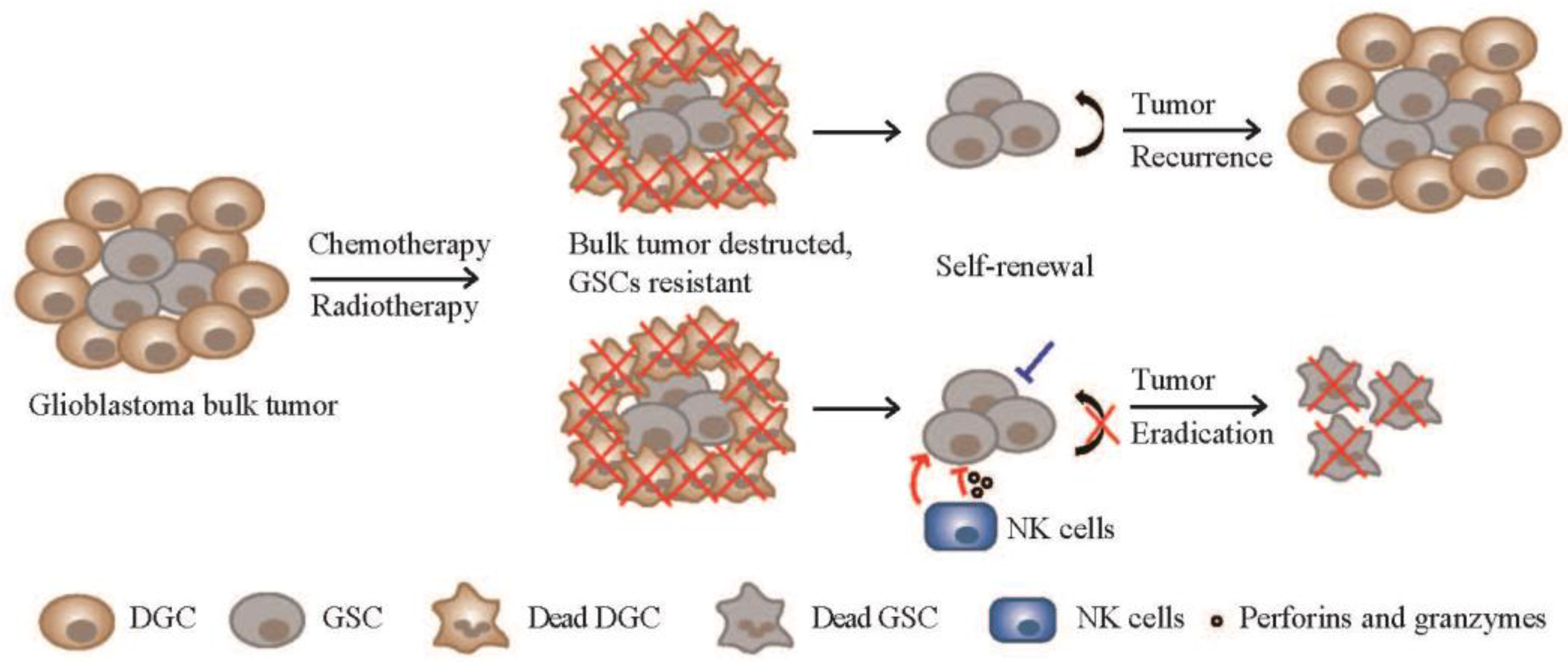 Cancers 15 05836 g003