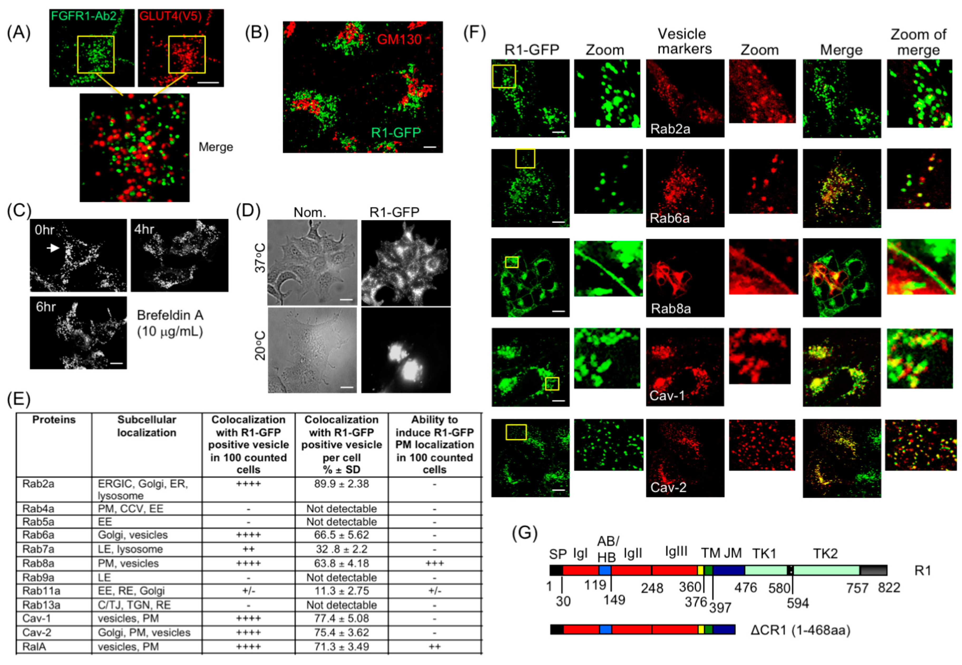 Cancers 15 05837 g002 Cancers 15 05837 g002