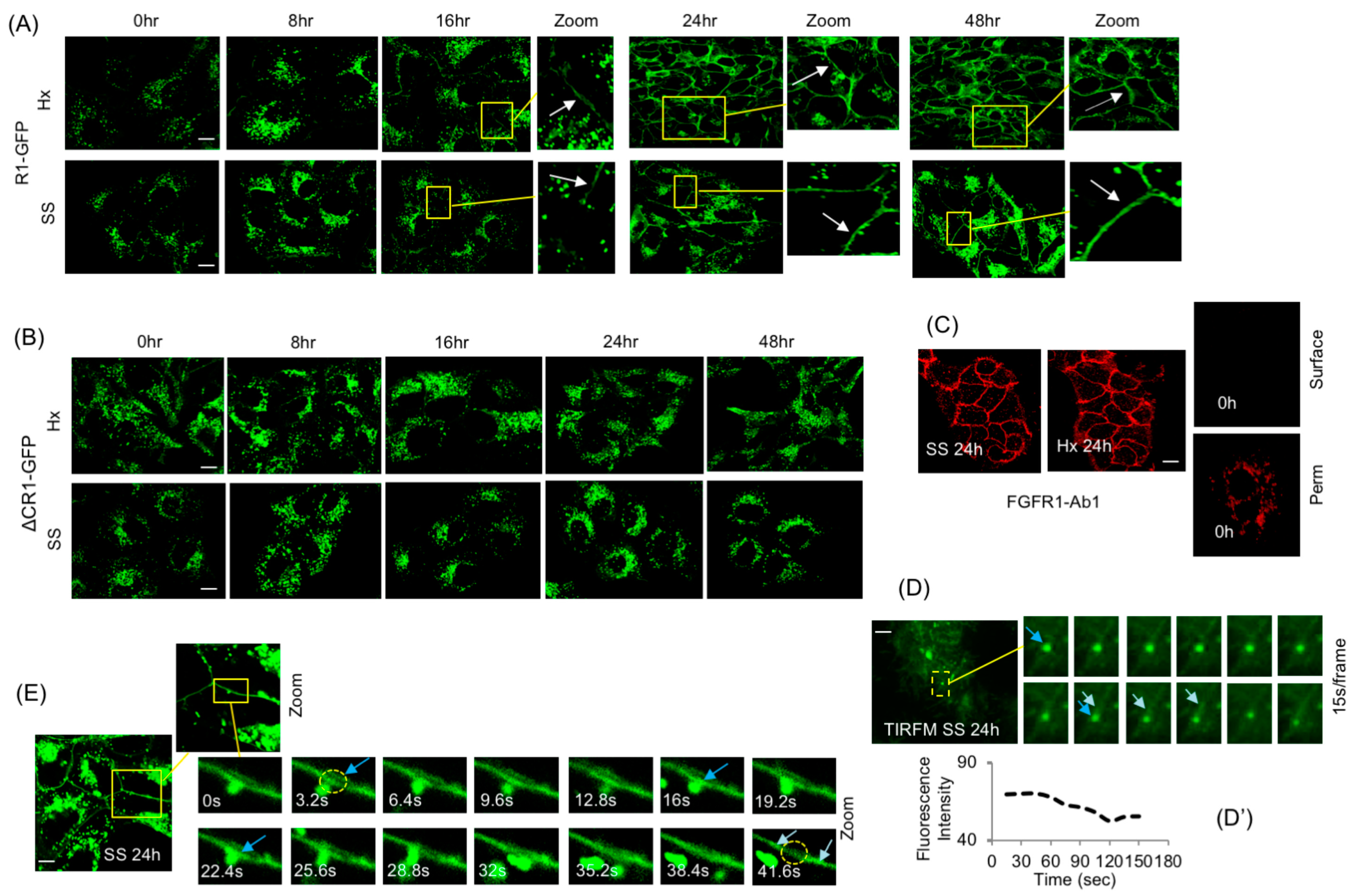 Cancers 15 05837 g003 Cancers 15 05837 g003