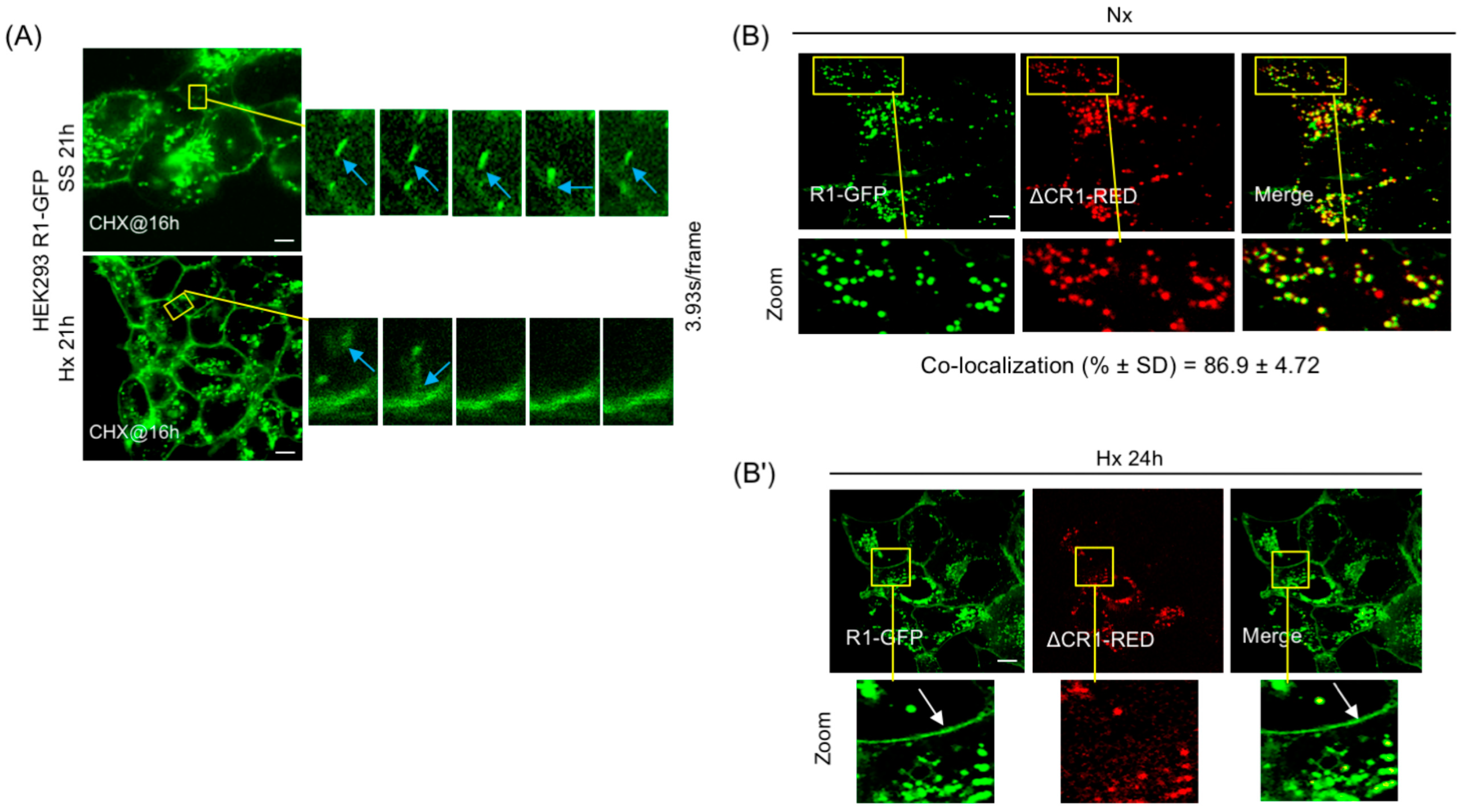 Cancers 15 05837 g004 Cancers 15 05837 g004