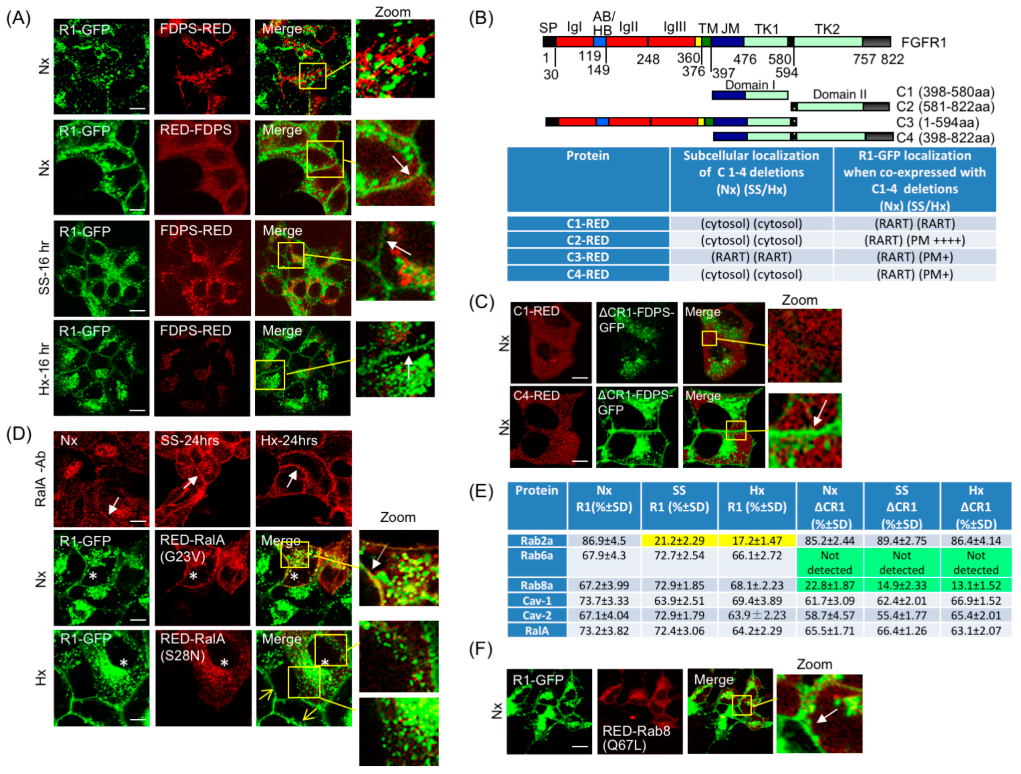 Cancers 15 05837 g005 Cancers 15 05837 g005