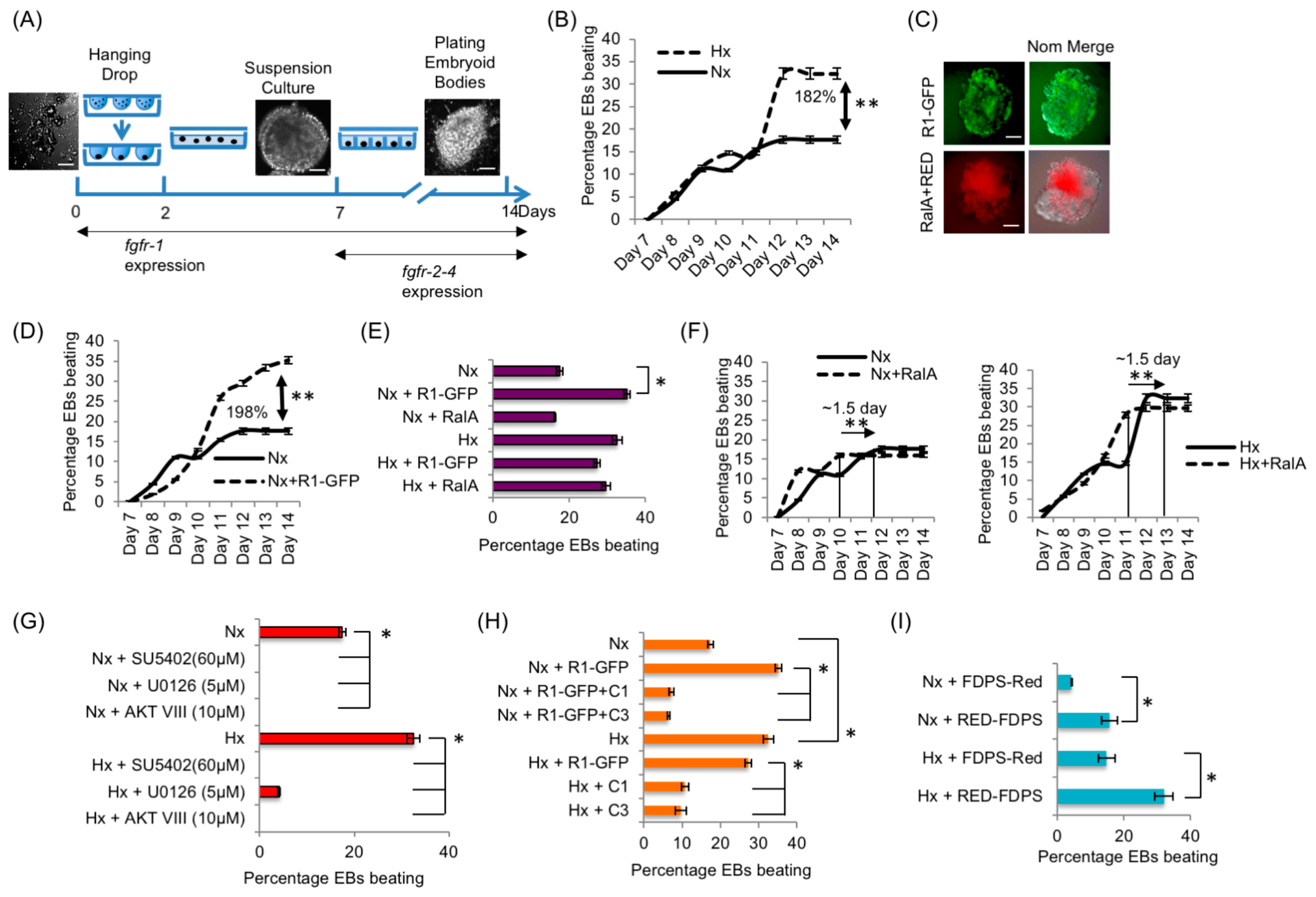 Cancers 15 05837 g007 Cancers 15 05837 g007