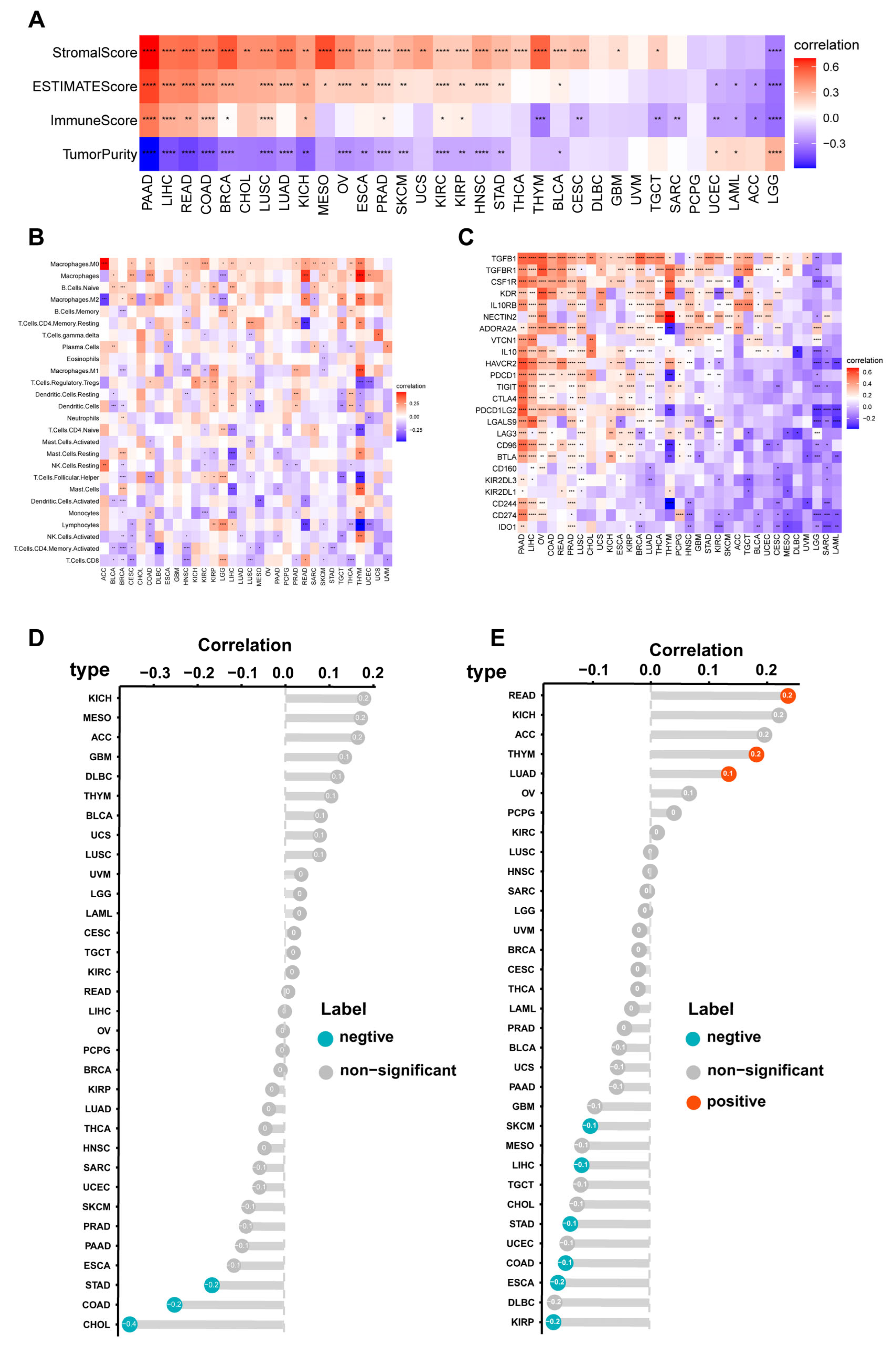 Cancers 15 05842 g003