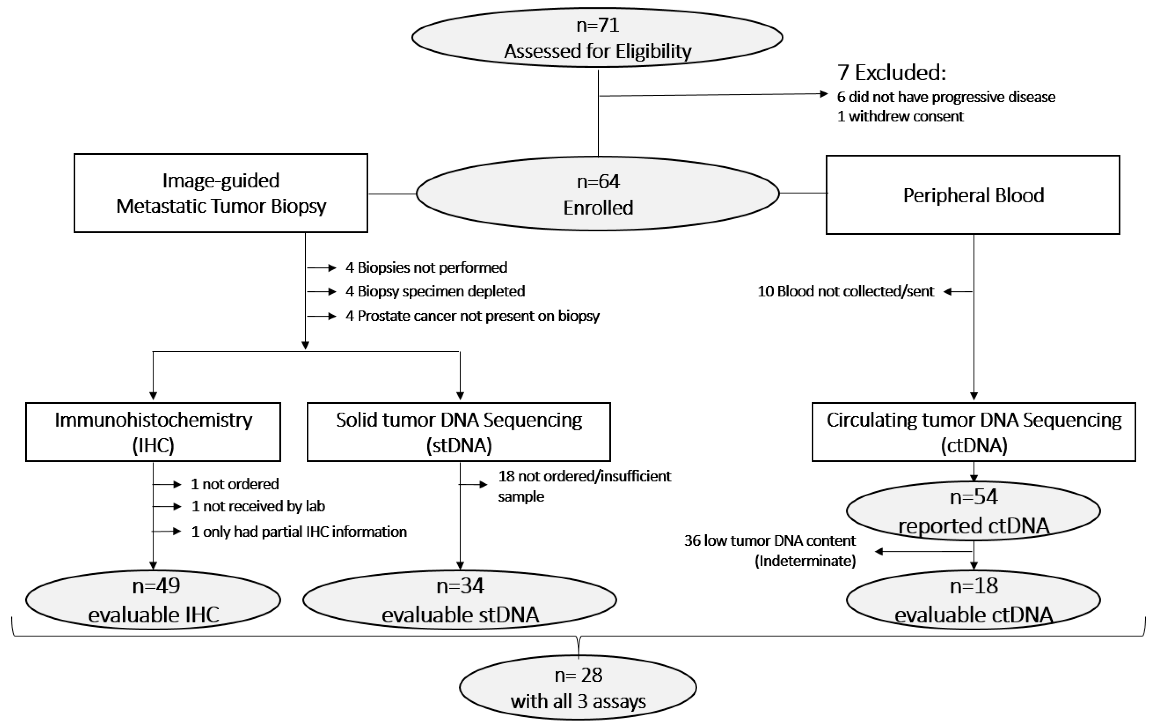 Cancers 15 05843 g001