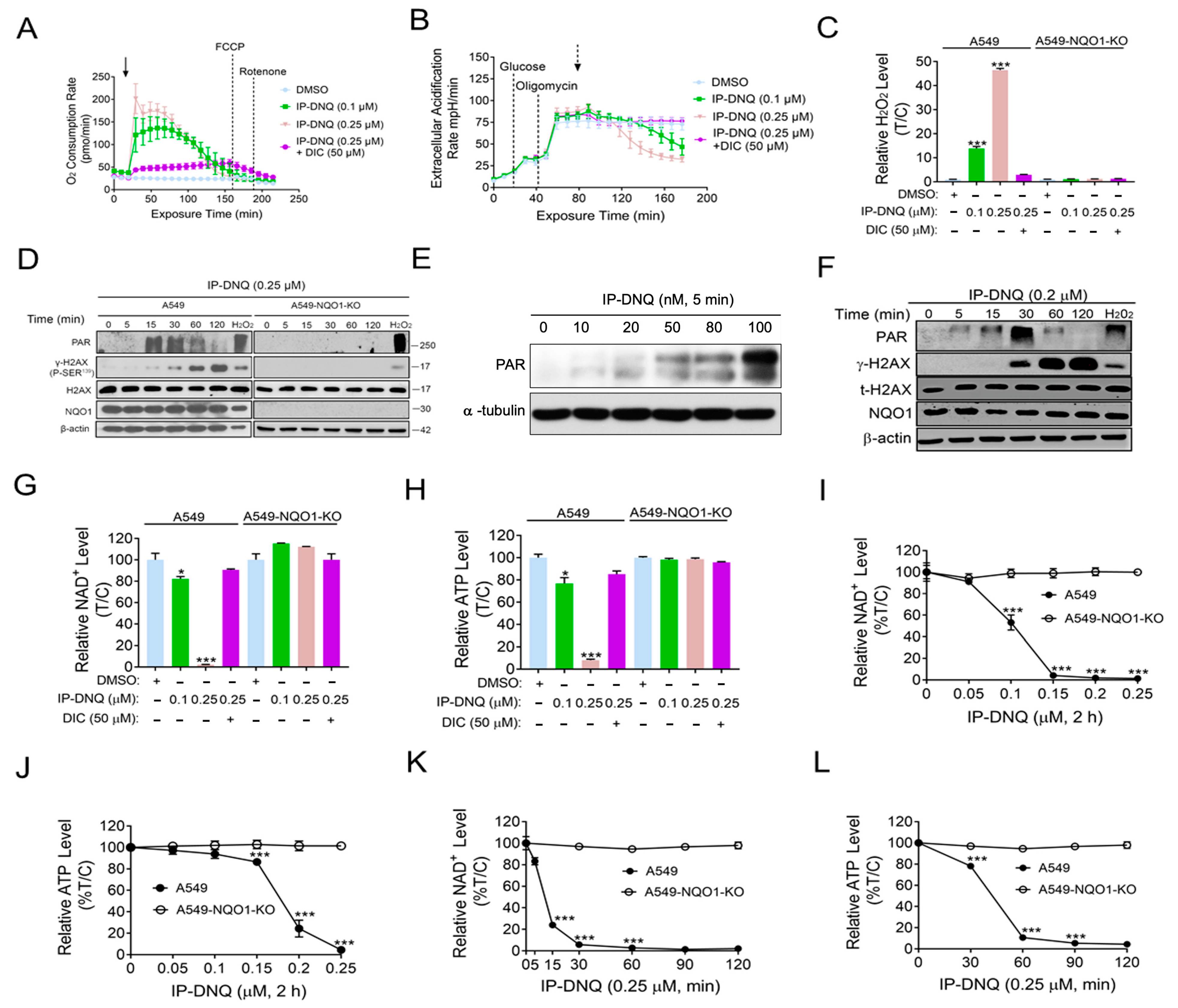 Cancers 15 05844 g002