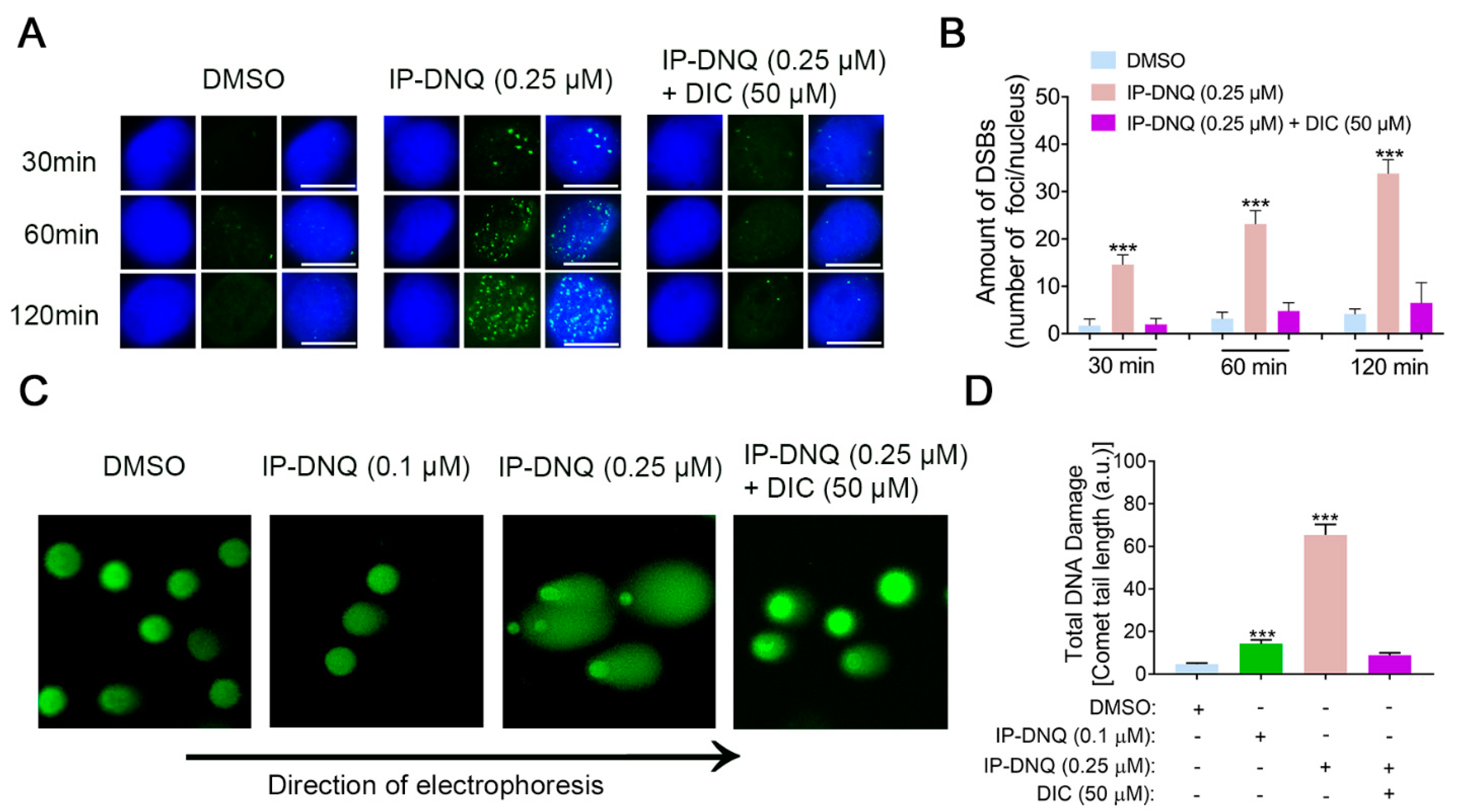 Cancers 15 05844 g003
