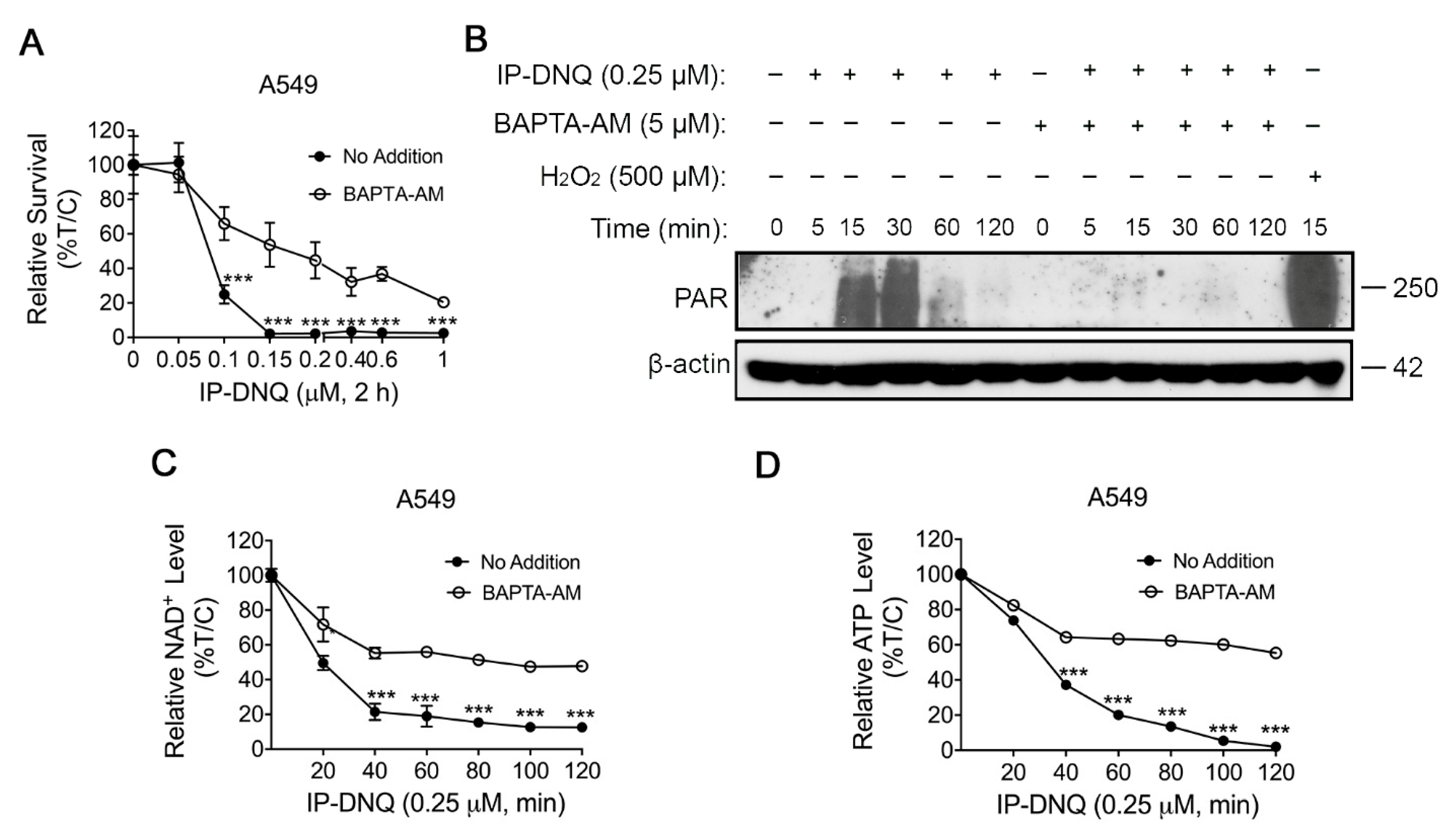 Cancers 15 05844 g004