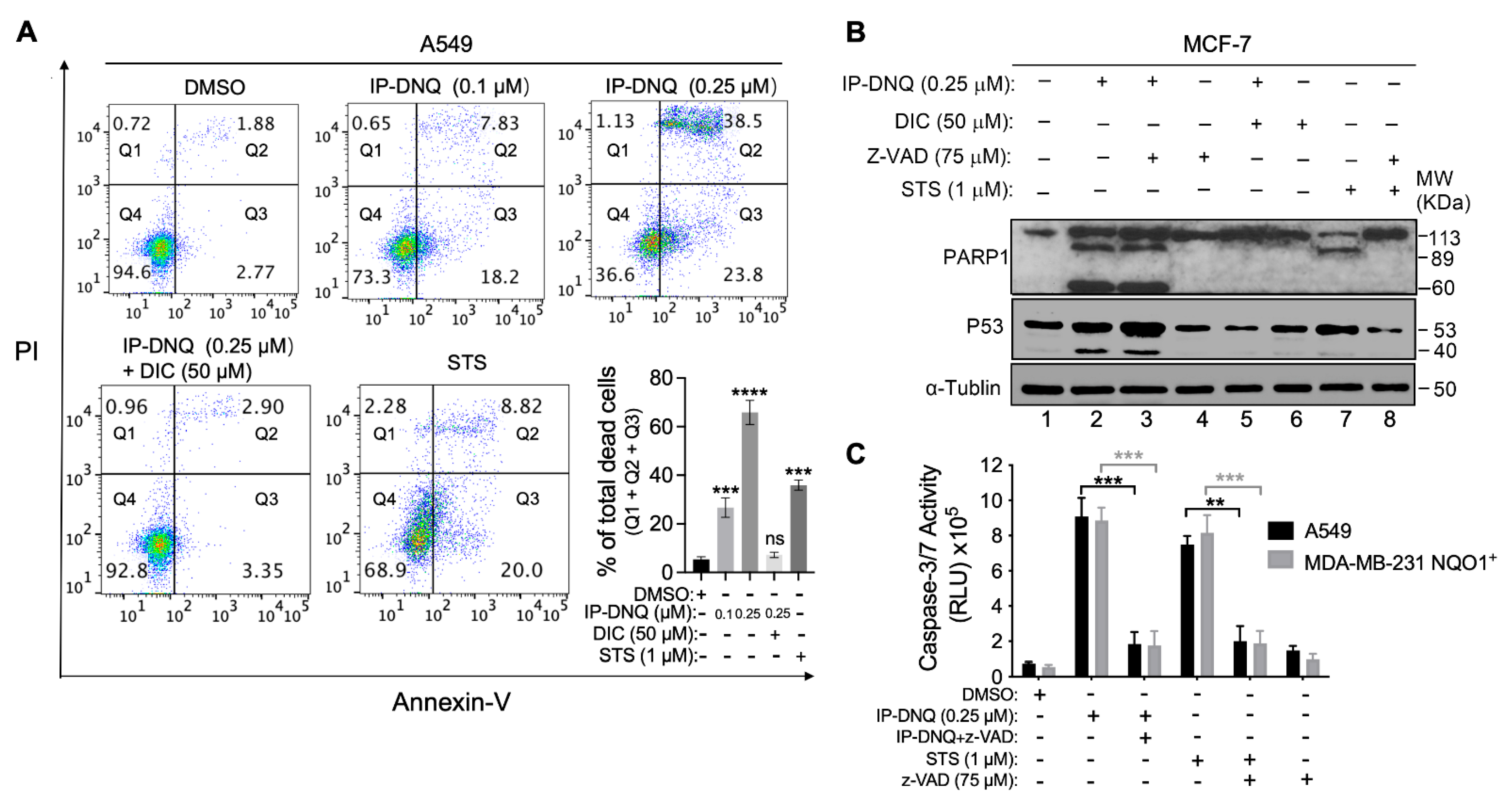 Cancers 15 05844 g005