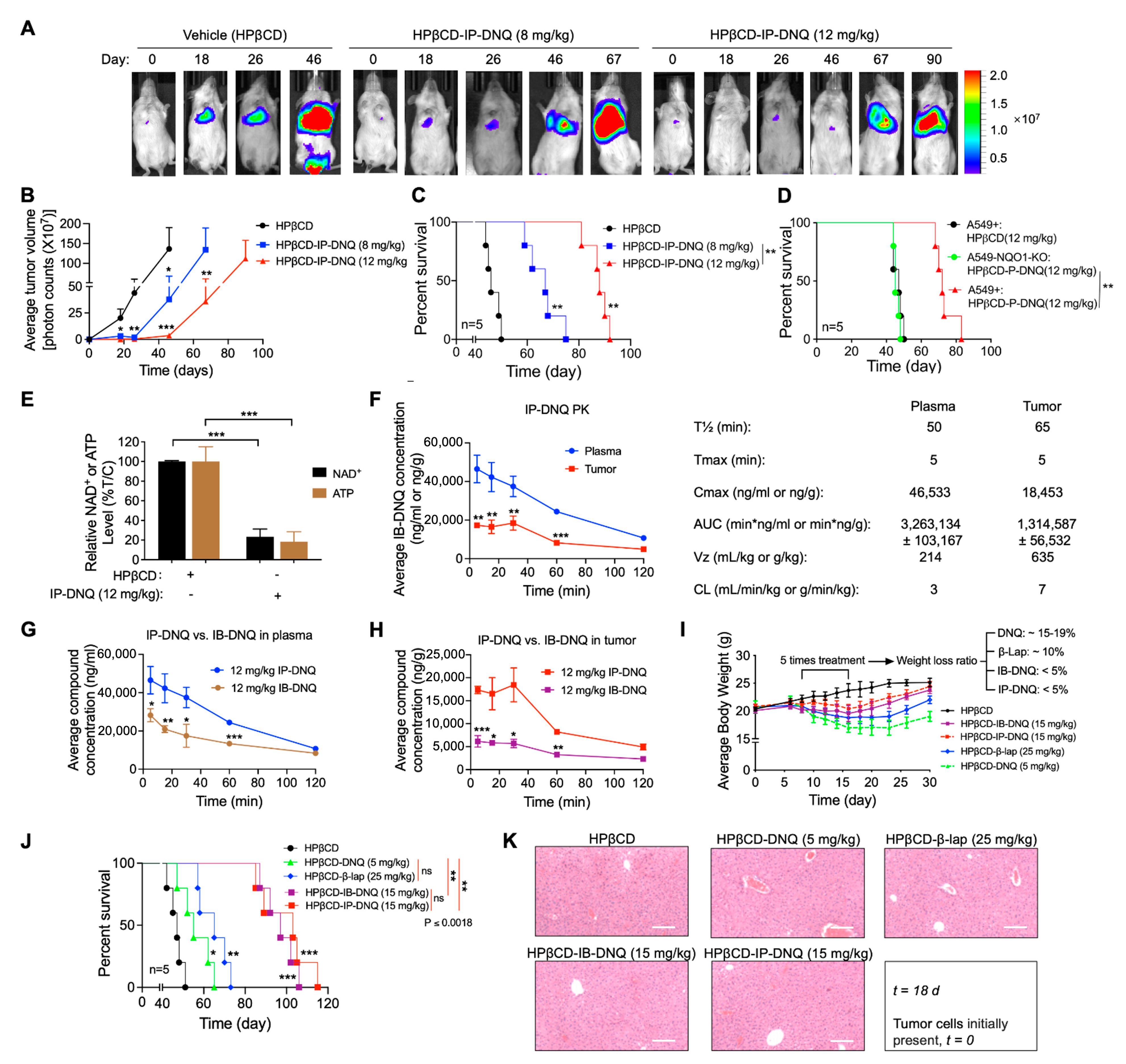 Cancers 15 05844 g006