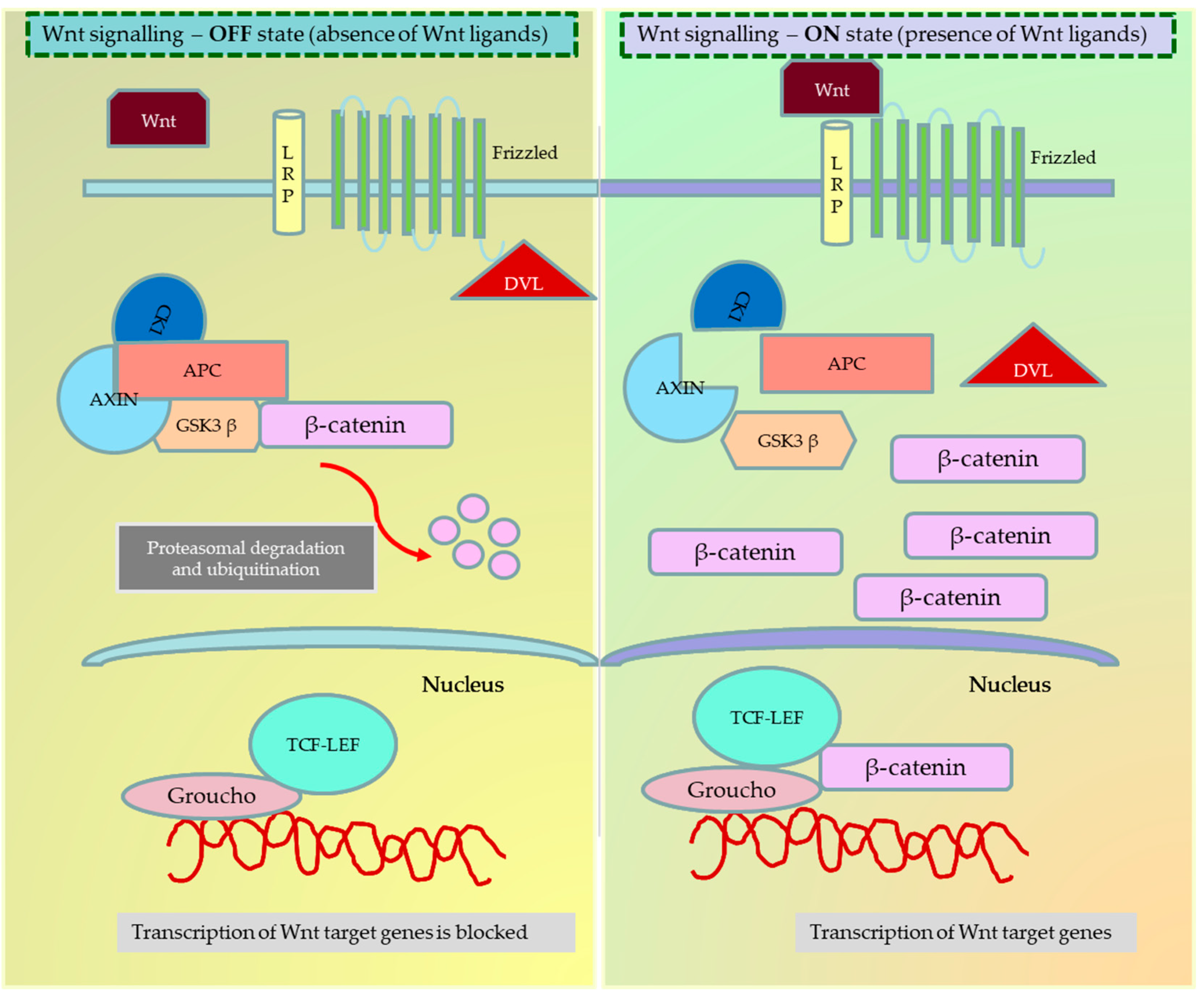 Cancers 15 05847 g001