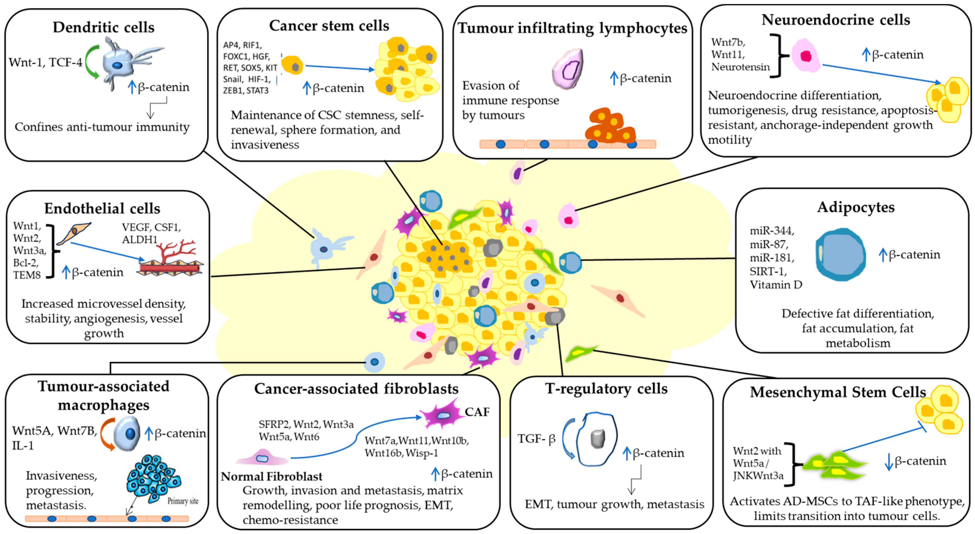 Cancers 15 05847 g004