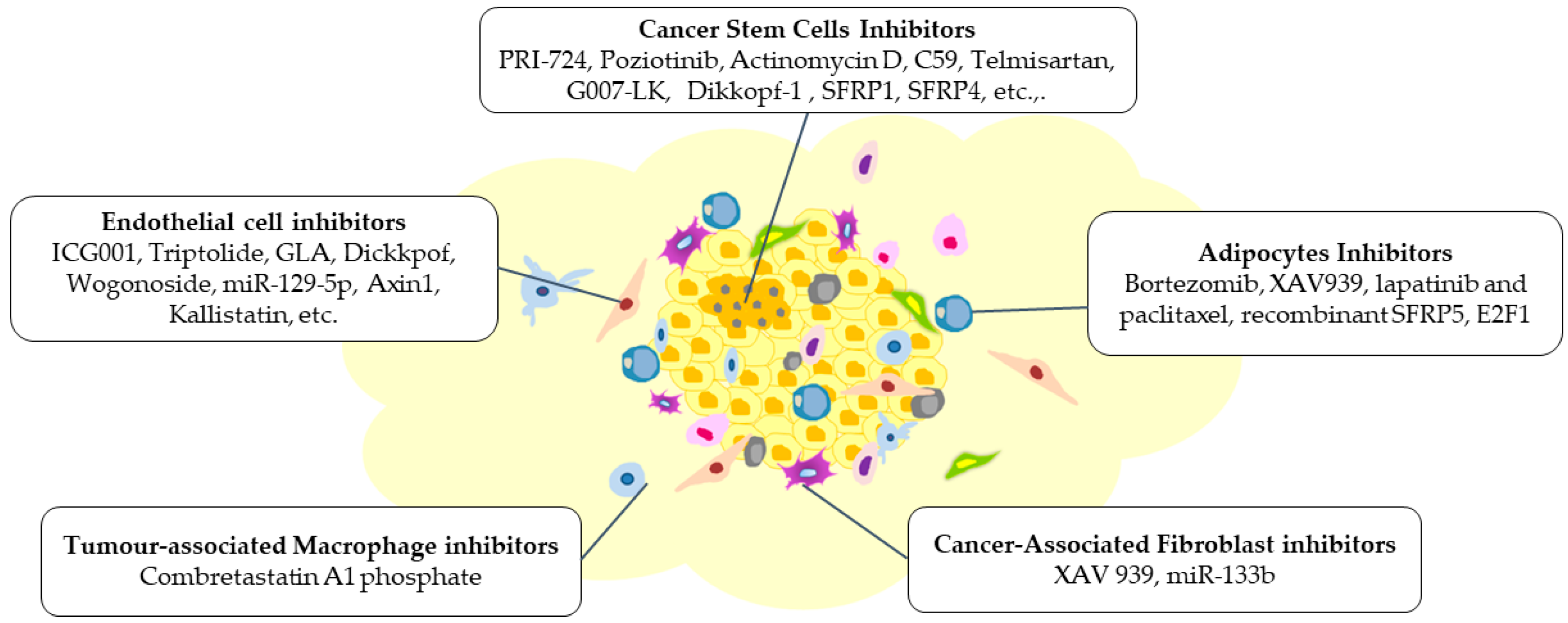 Cancers 15 05847 g005
