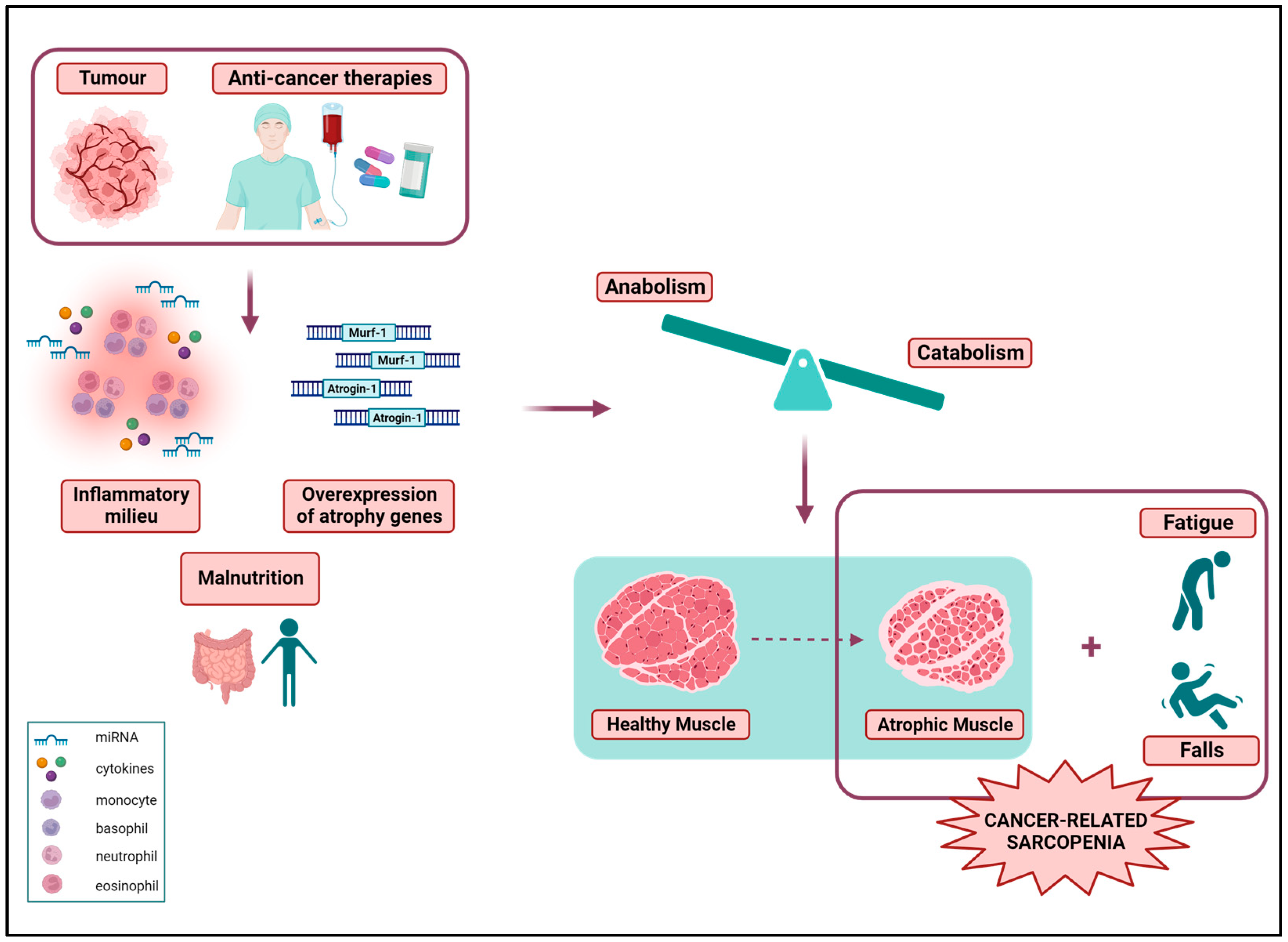 Cancers 15 05856 g001