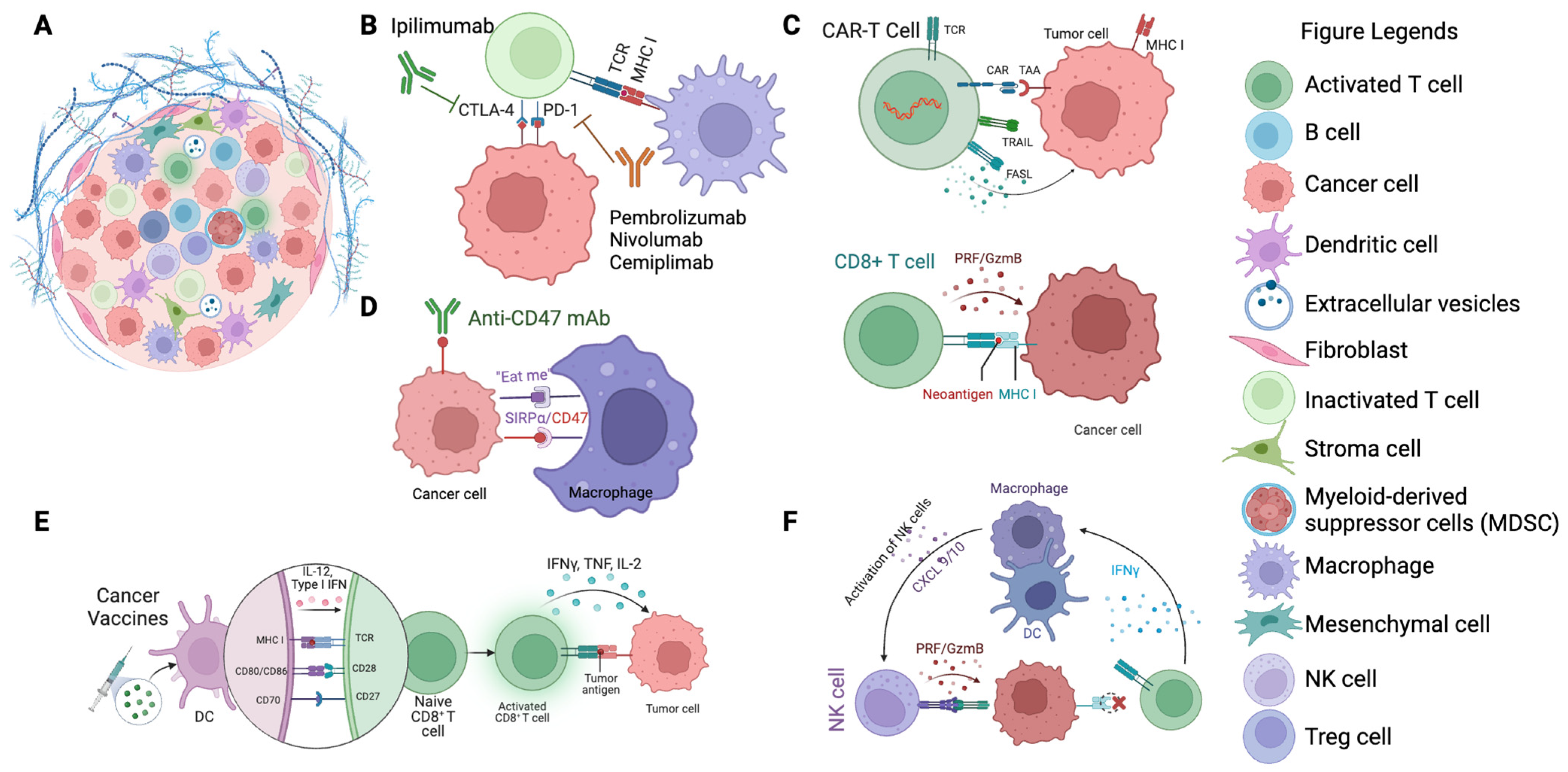 Cancers 15 05857 g002