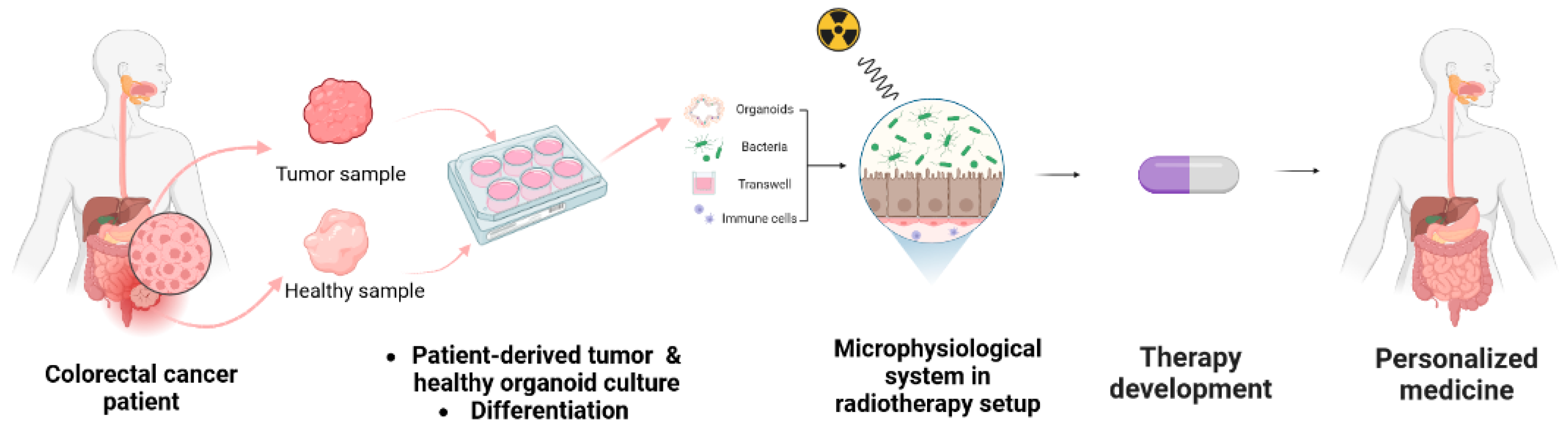 Cancers 15 05859 g003