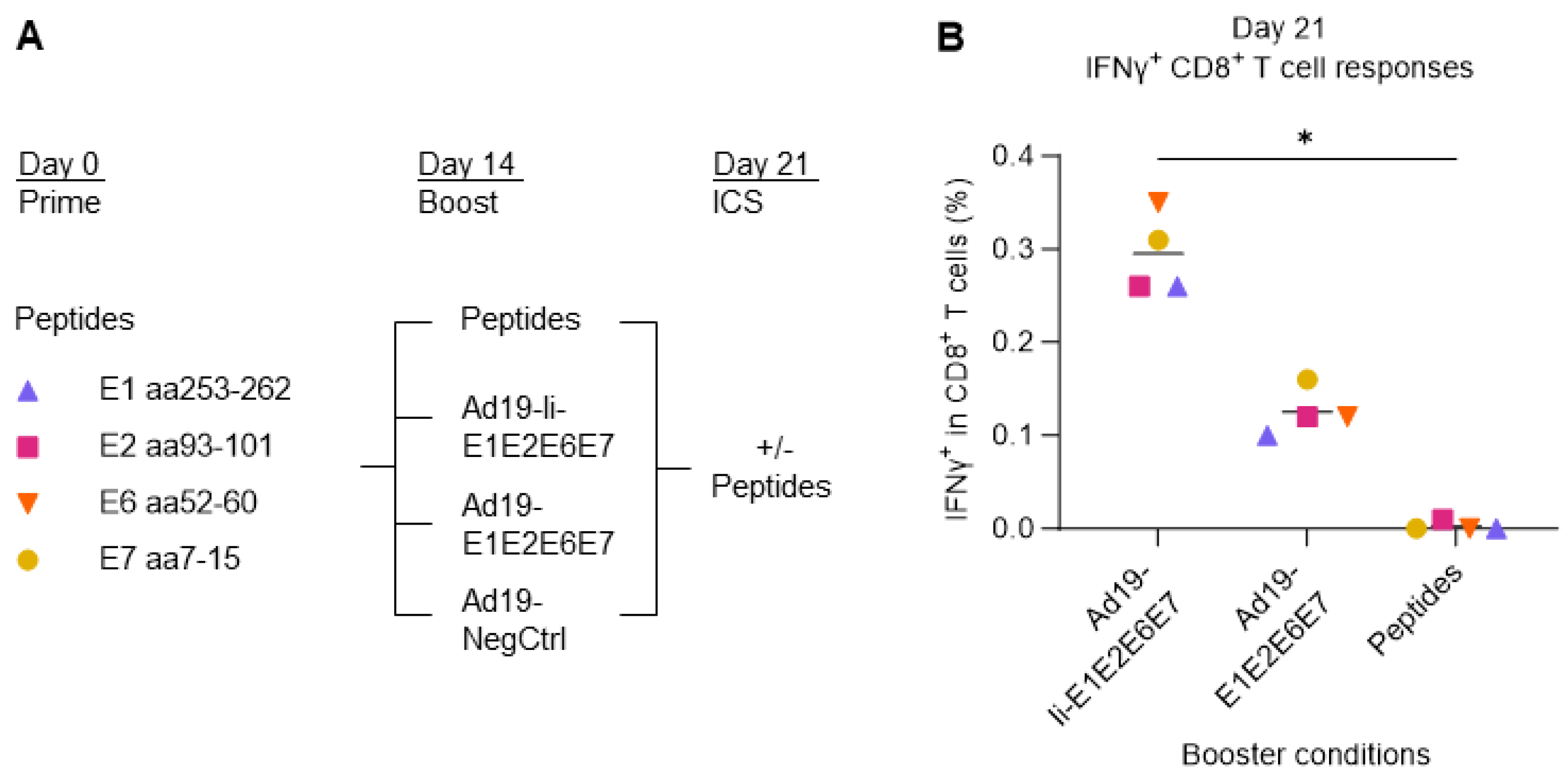 Cancers 15 05863 g003