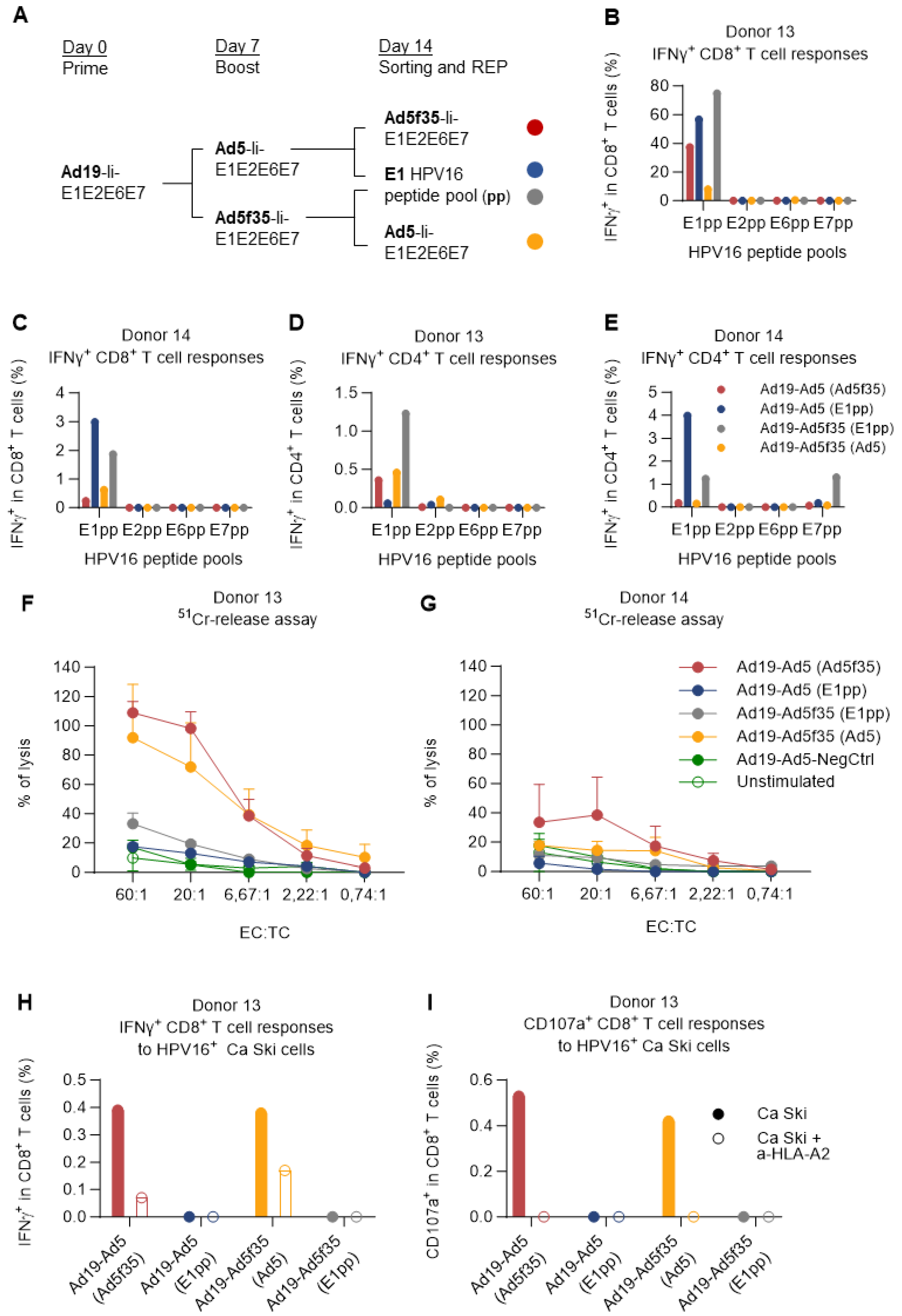Cancers 15 05863 g006