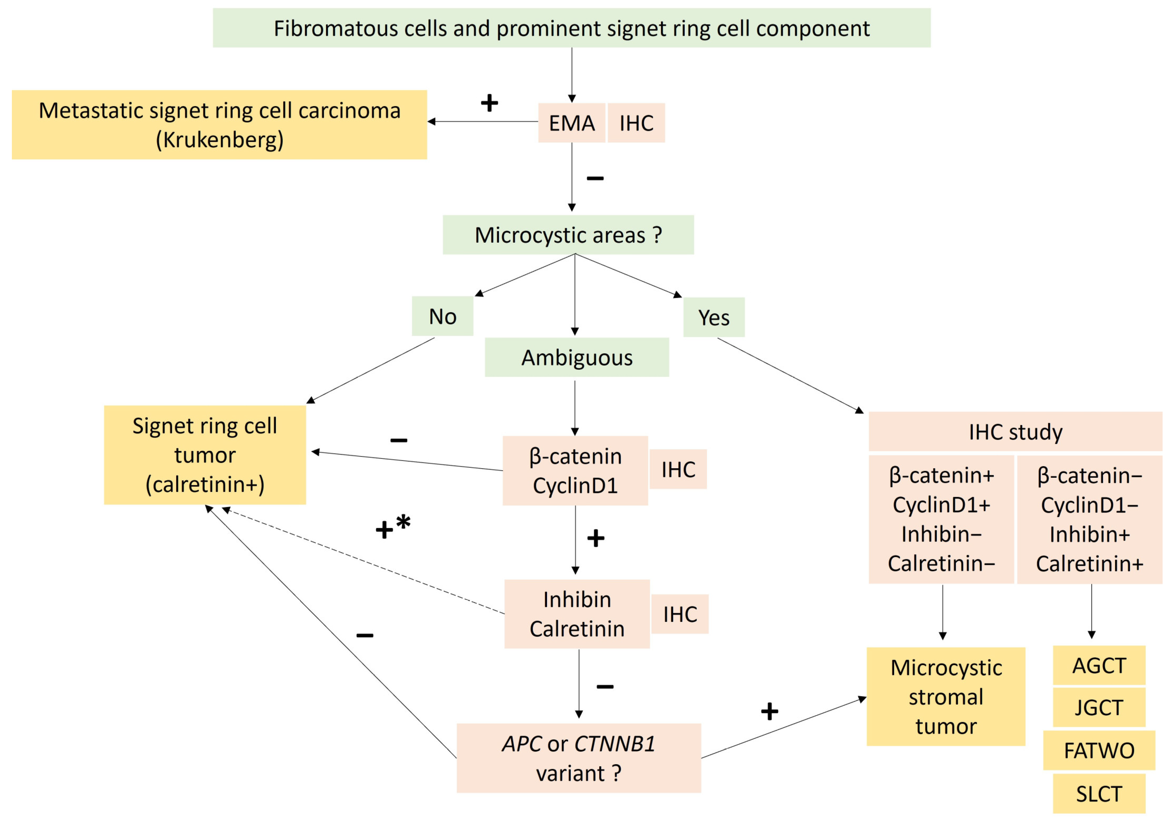 Cancers 15 05864 g006 Cancers 15 05864 g006