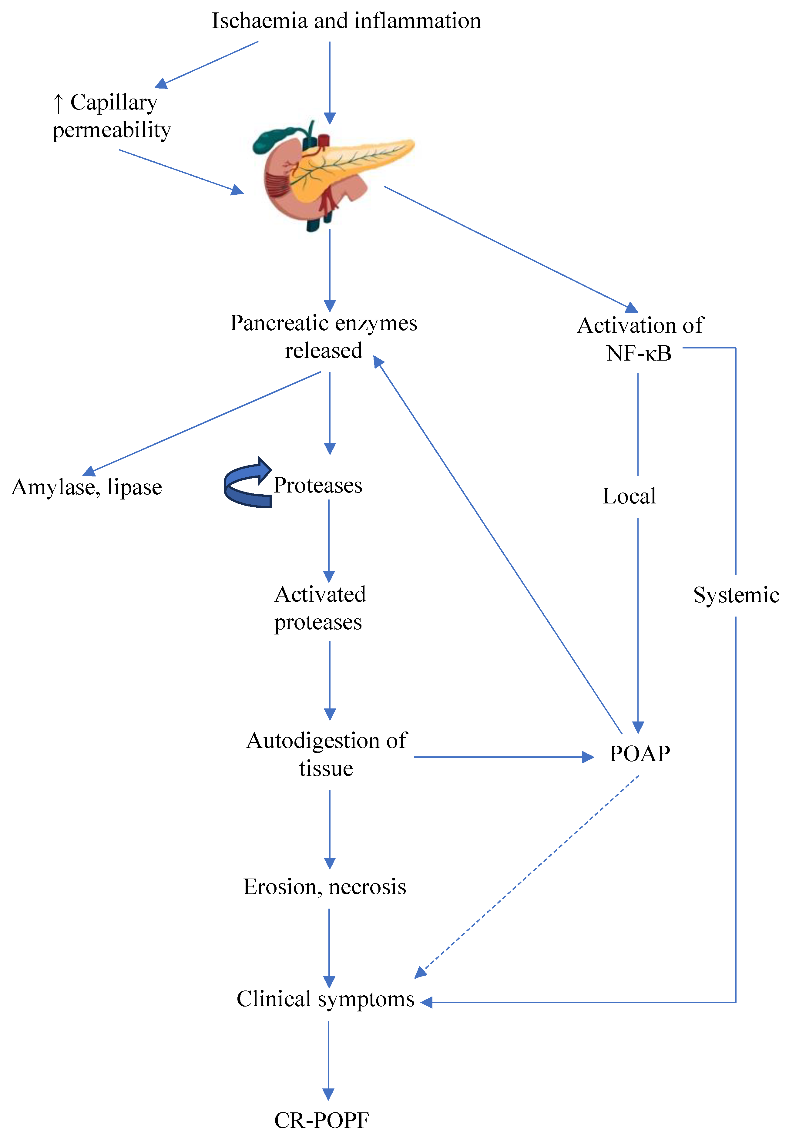 Cancers 15 05865 g001