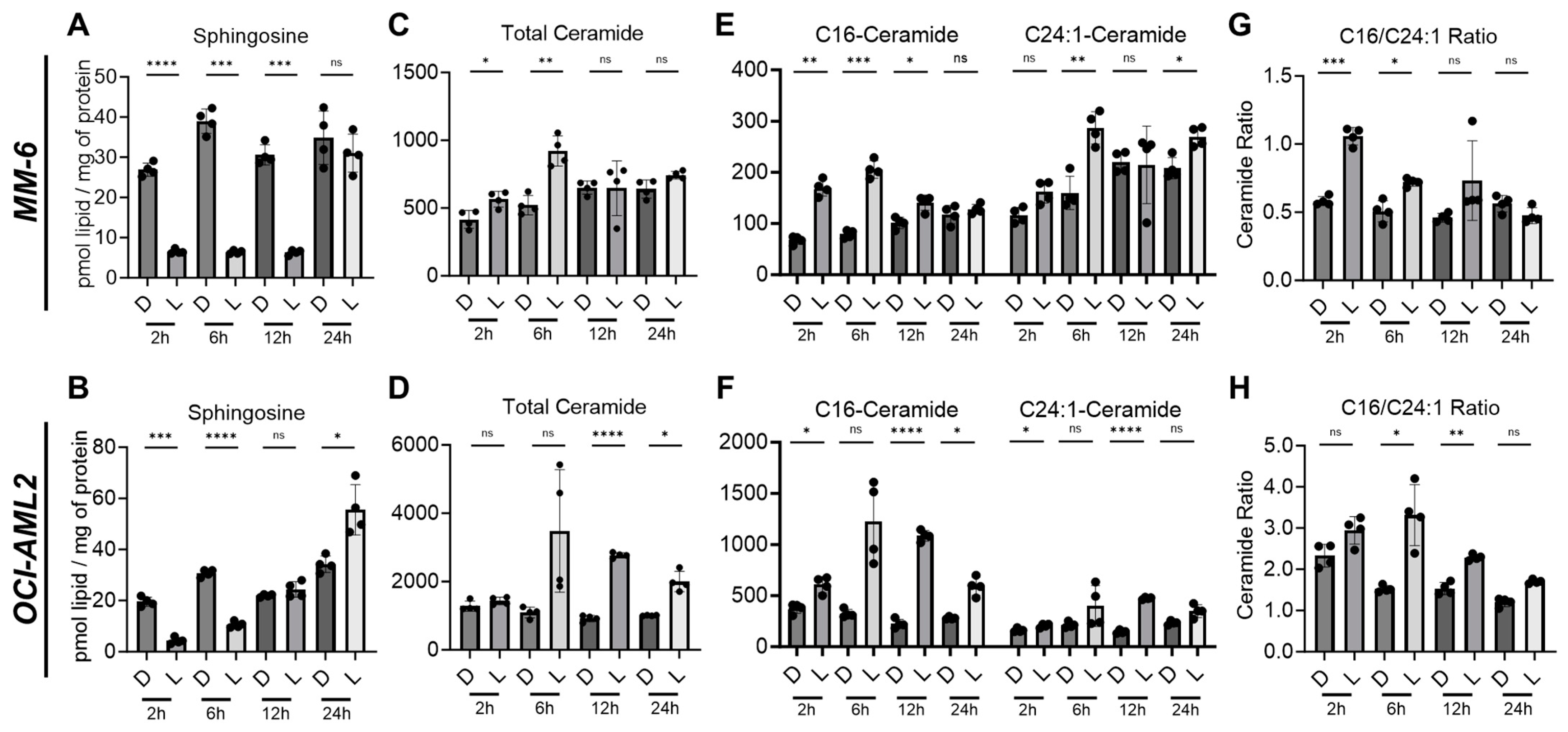 Cancers 15 05866 g002