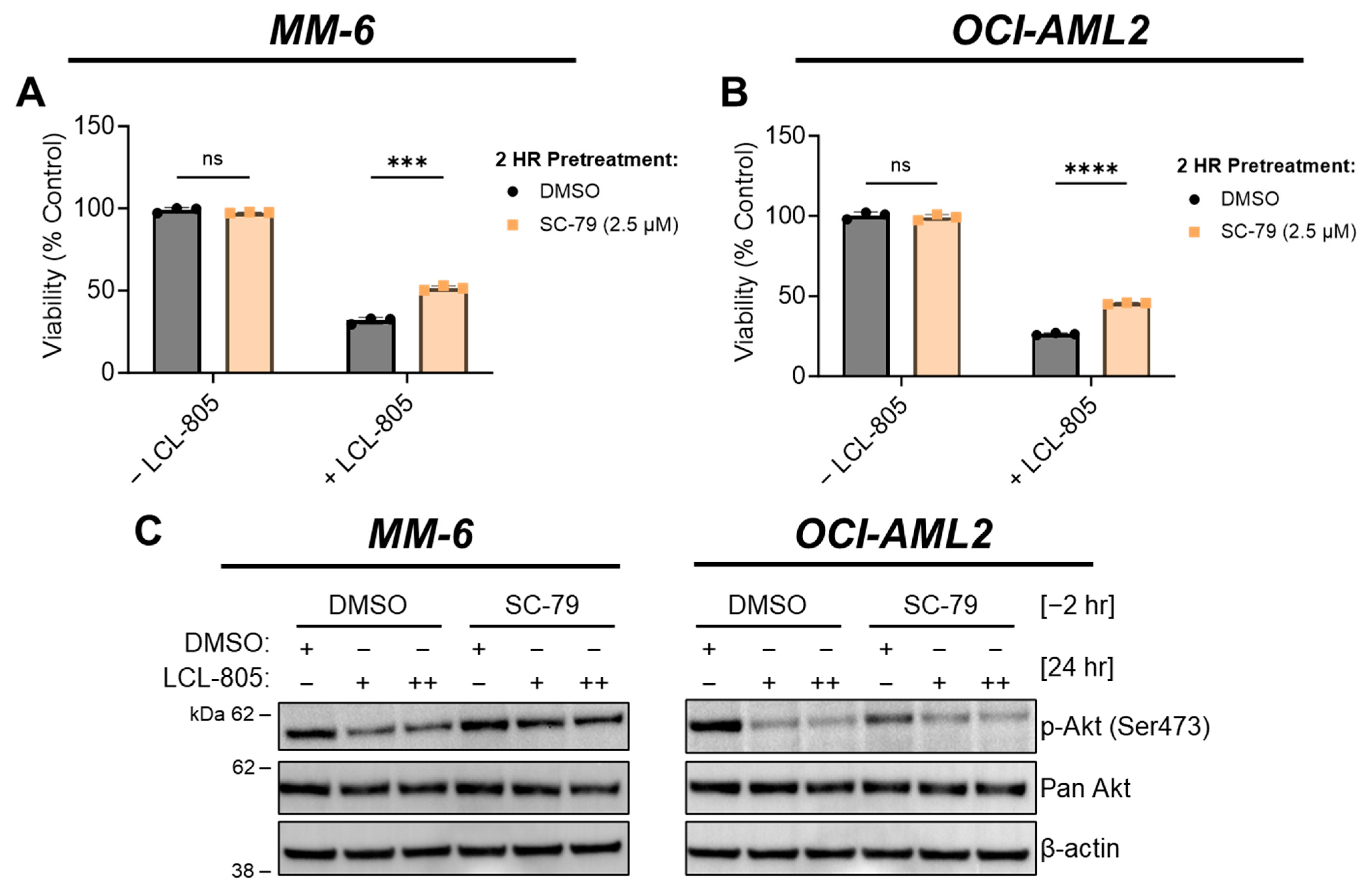 Cancers 15 05866 g007