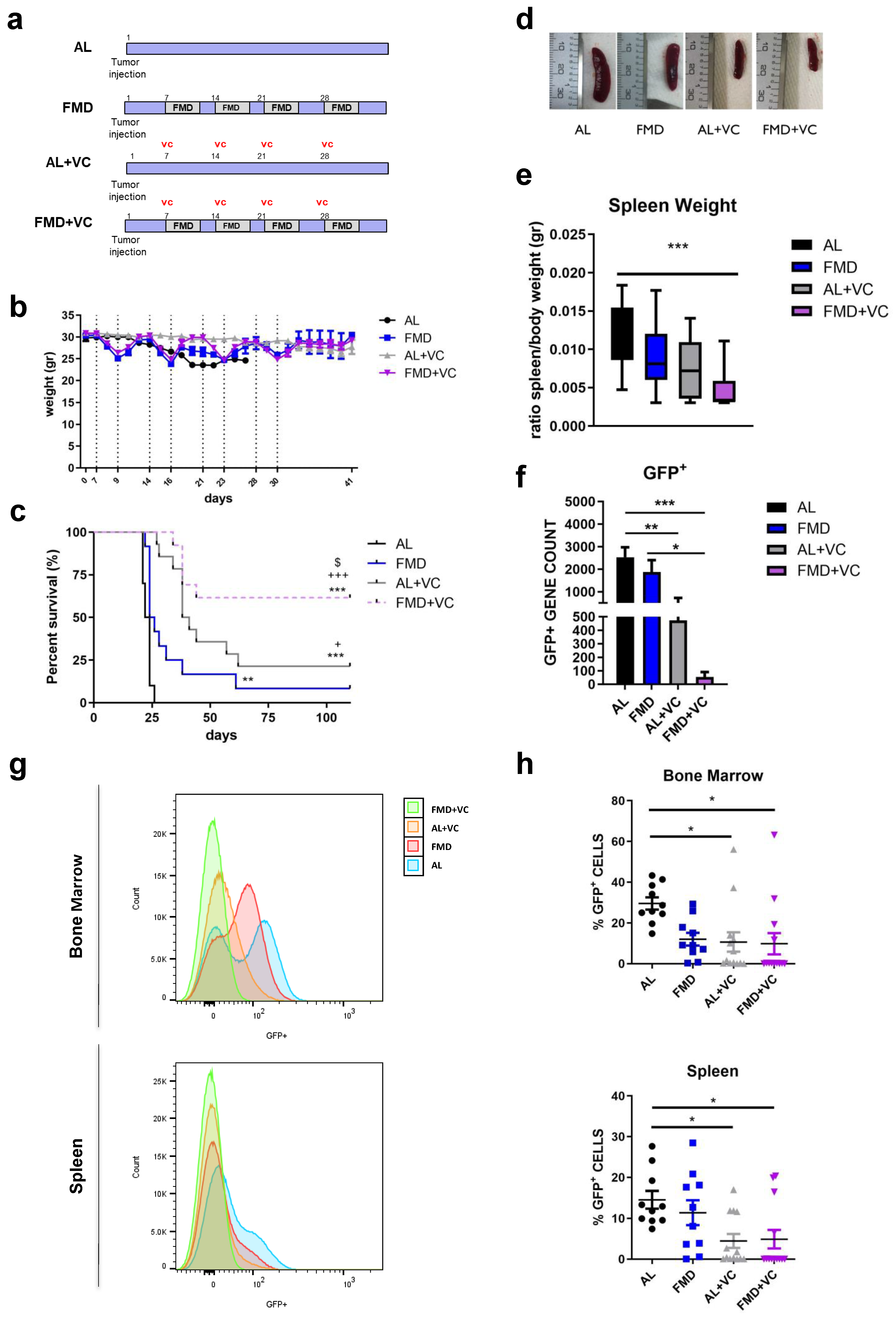 Cancers 15 05870 g002 Cancers 15 05870 g002
